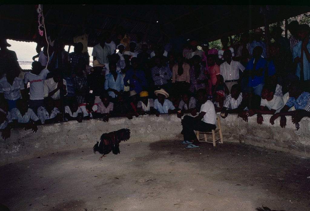 Haiti 53 1981