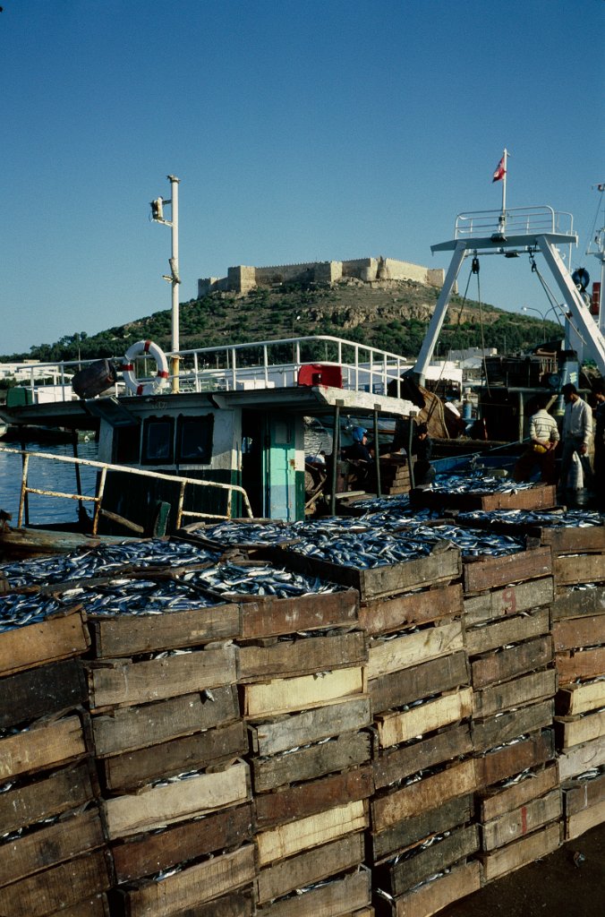 Tunisie kelibia 1 1985