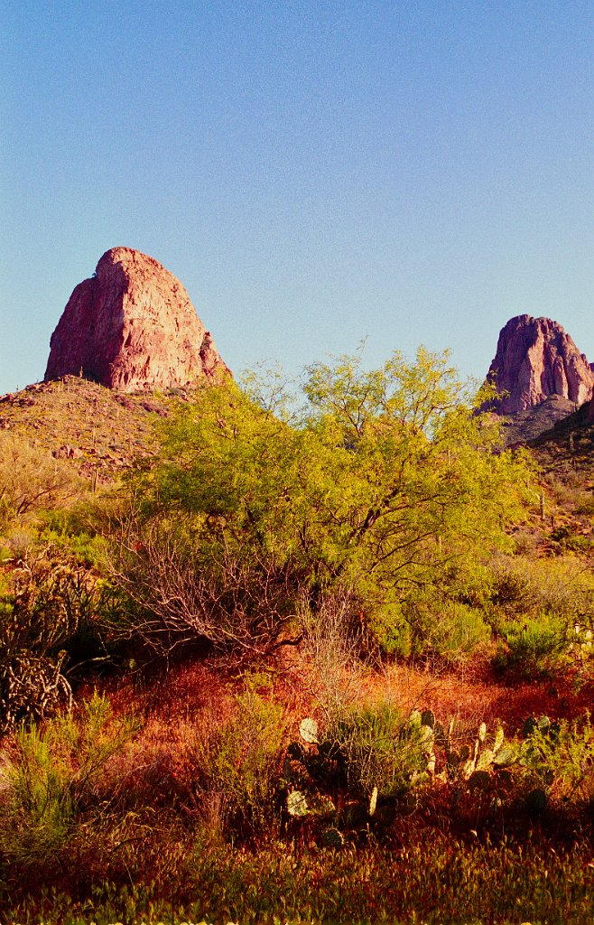 Arizona 11 1993