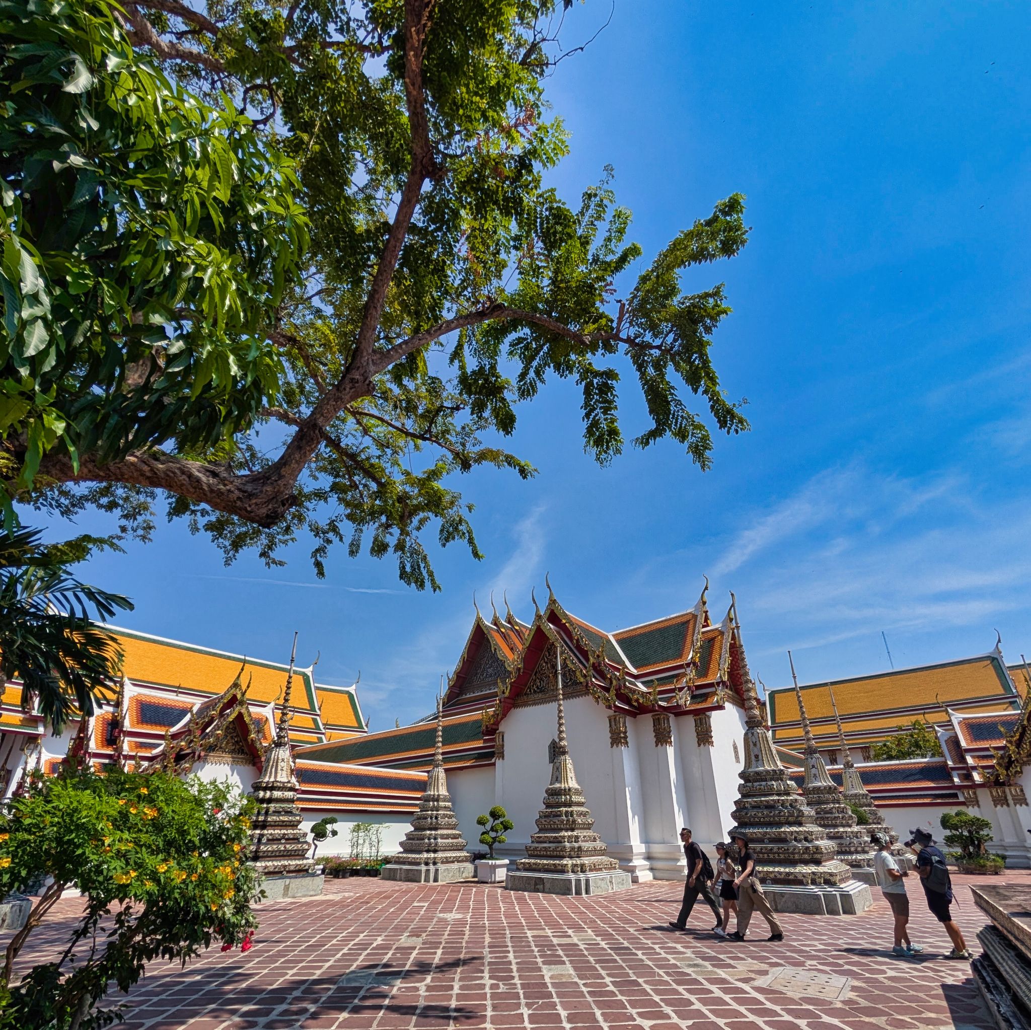 PXL 20250227 041632445