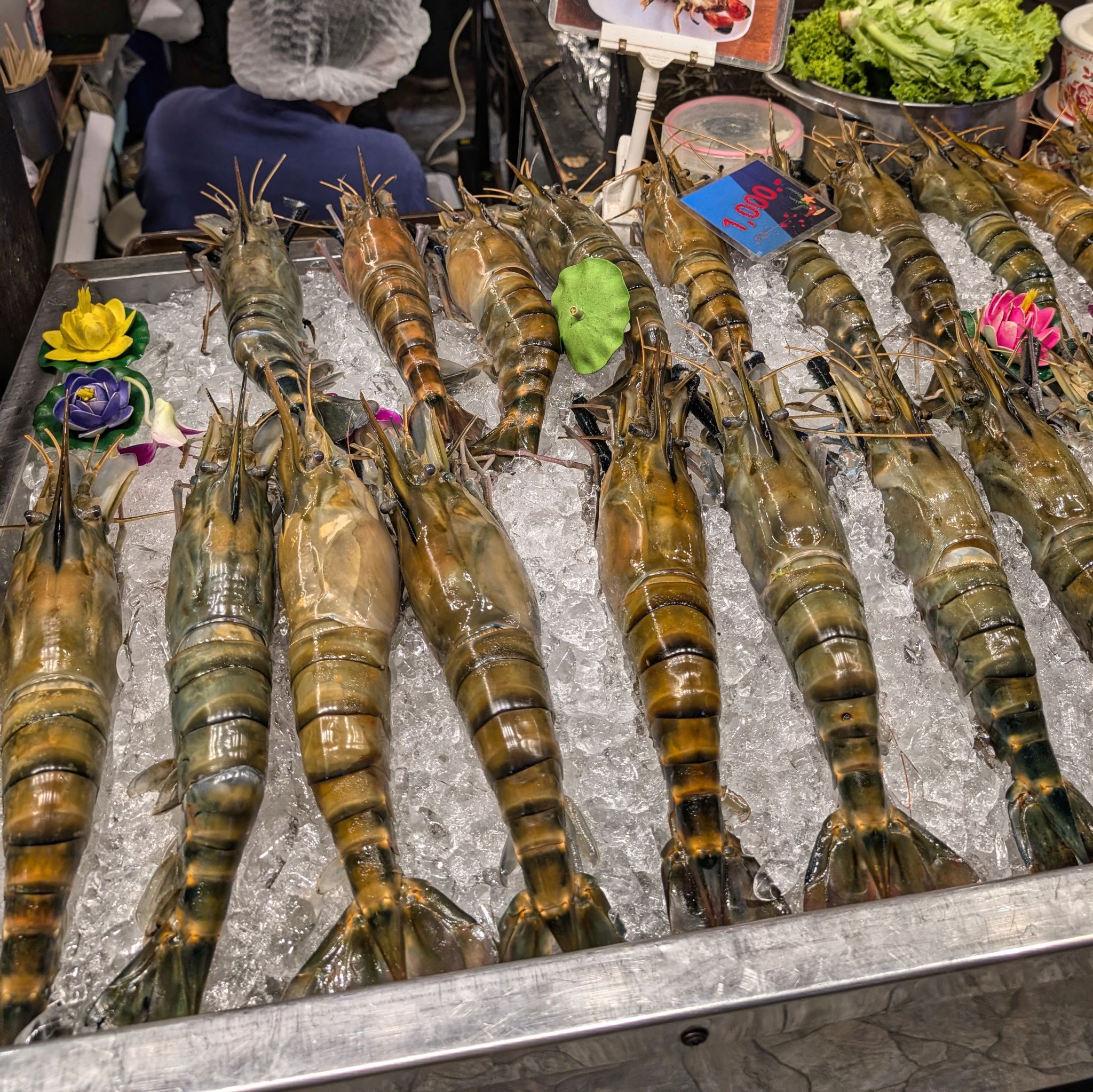 PXL 20250227 071012494