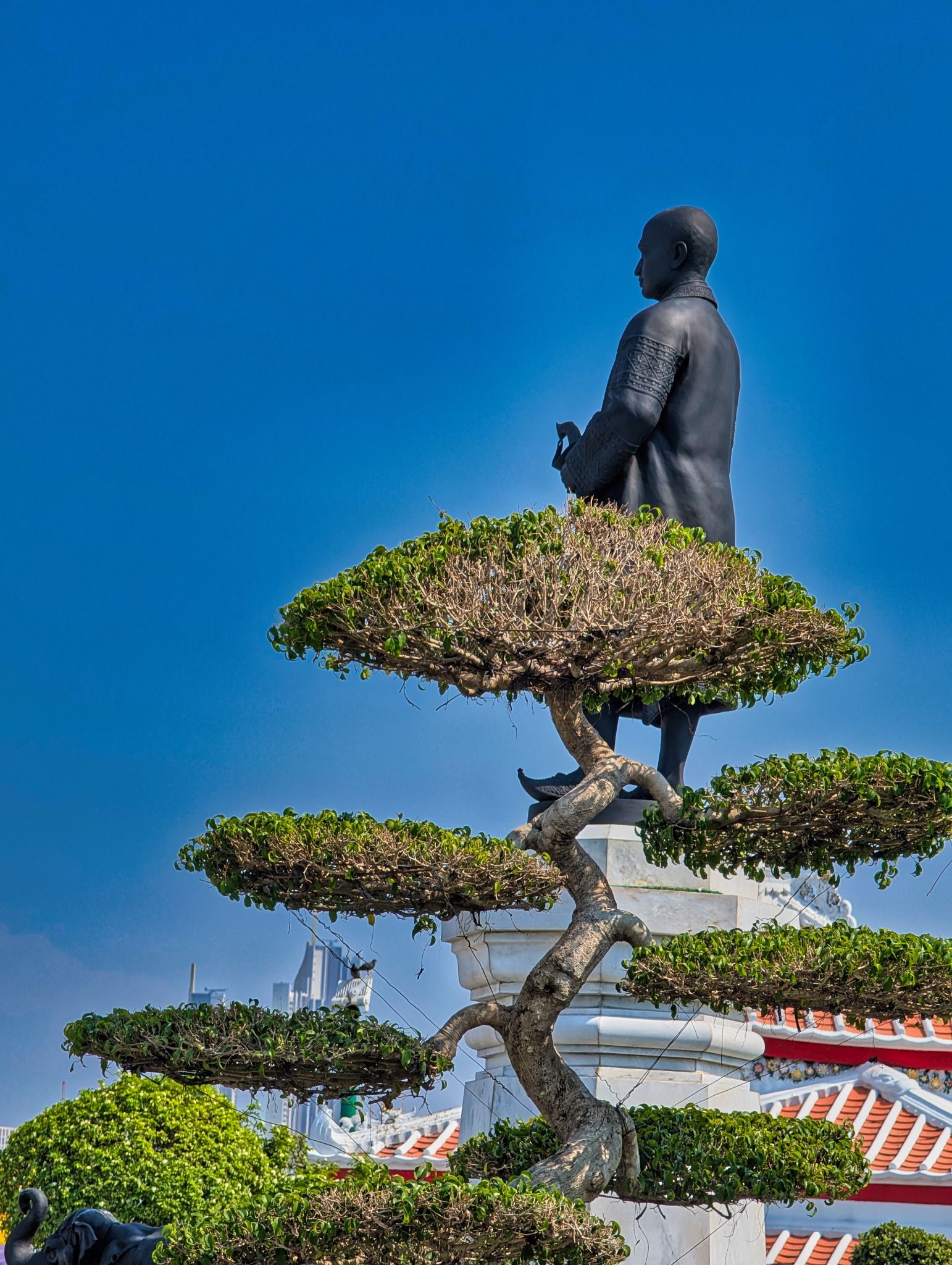 PXL 20250228 073932686