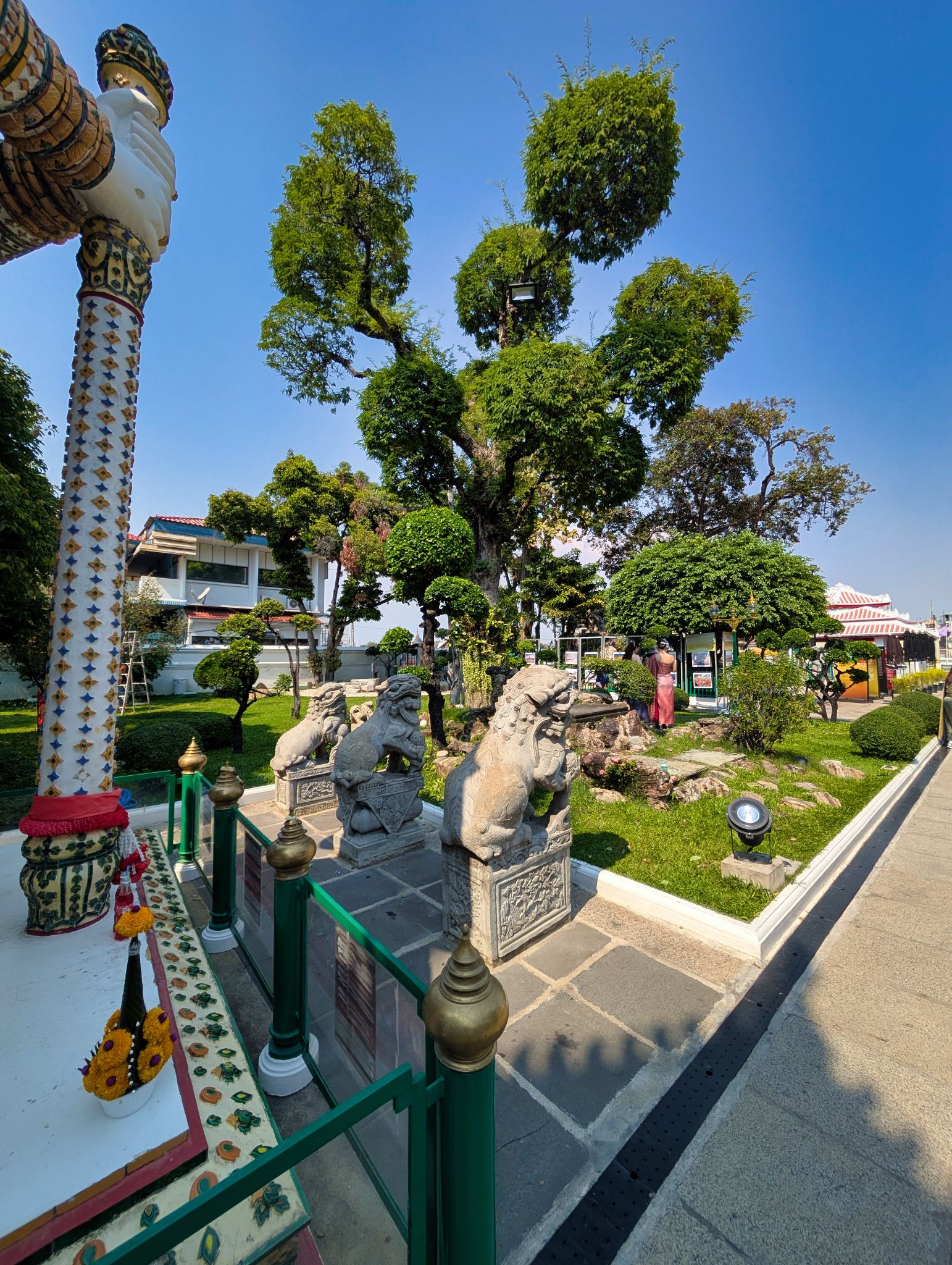 PXL 20250228 074145005