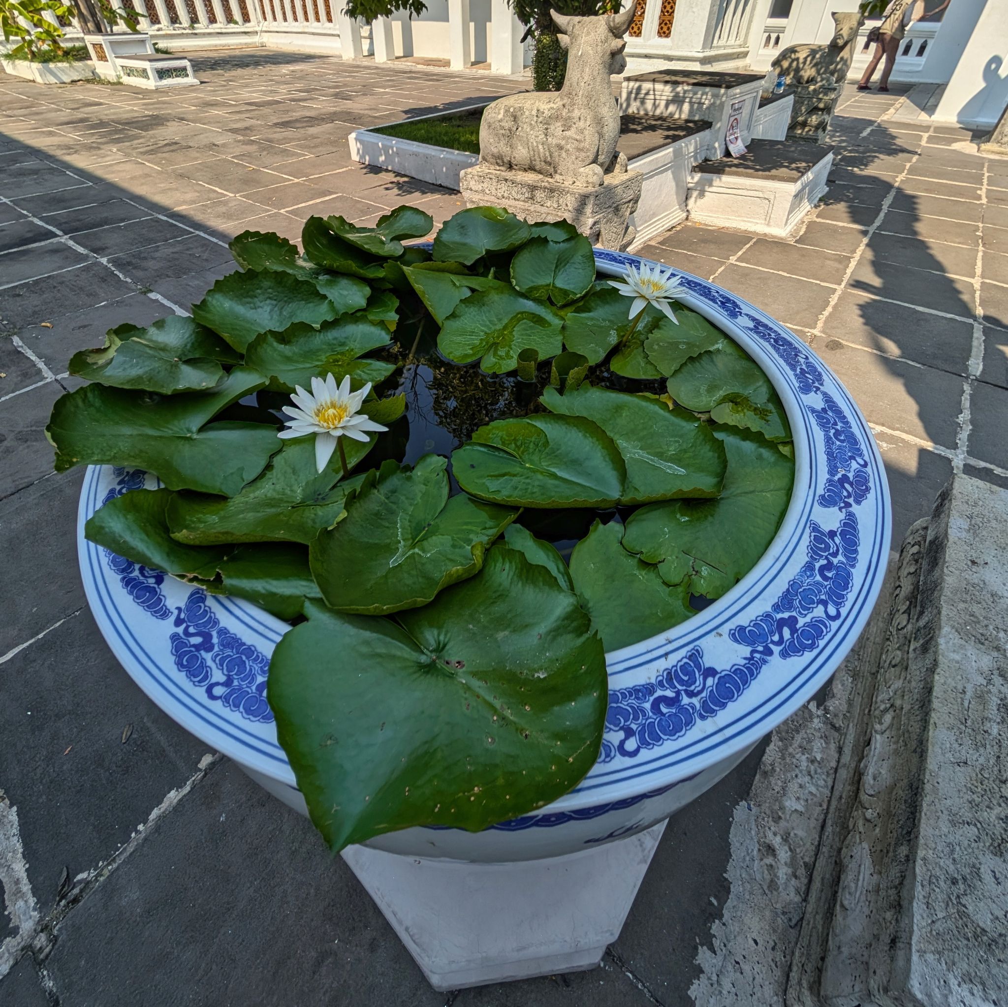 PXL 20250228 074350339