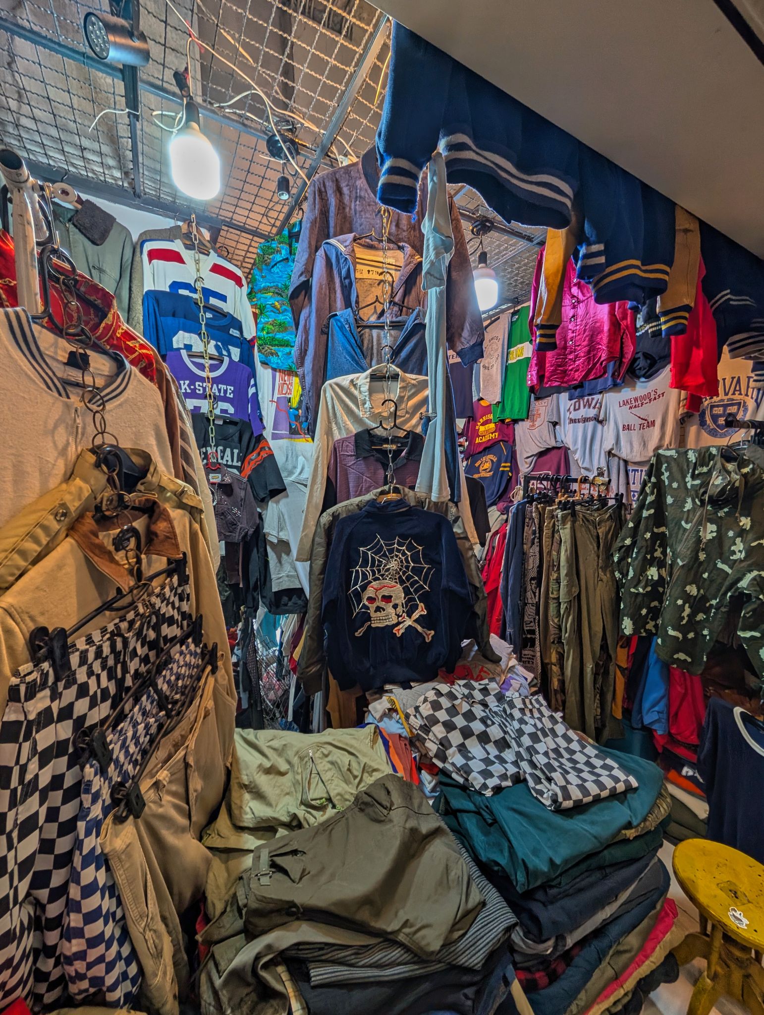 PXL 20250302 090609767