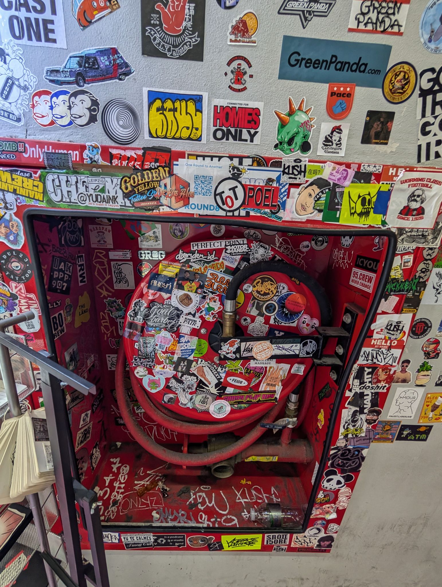 PXL 20250302 090654096