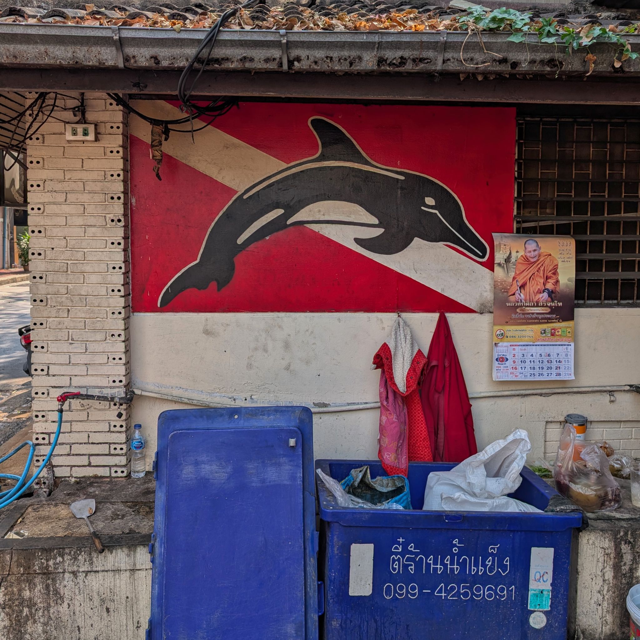 PXL 20250303 041913361