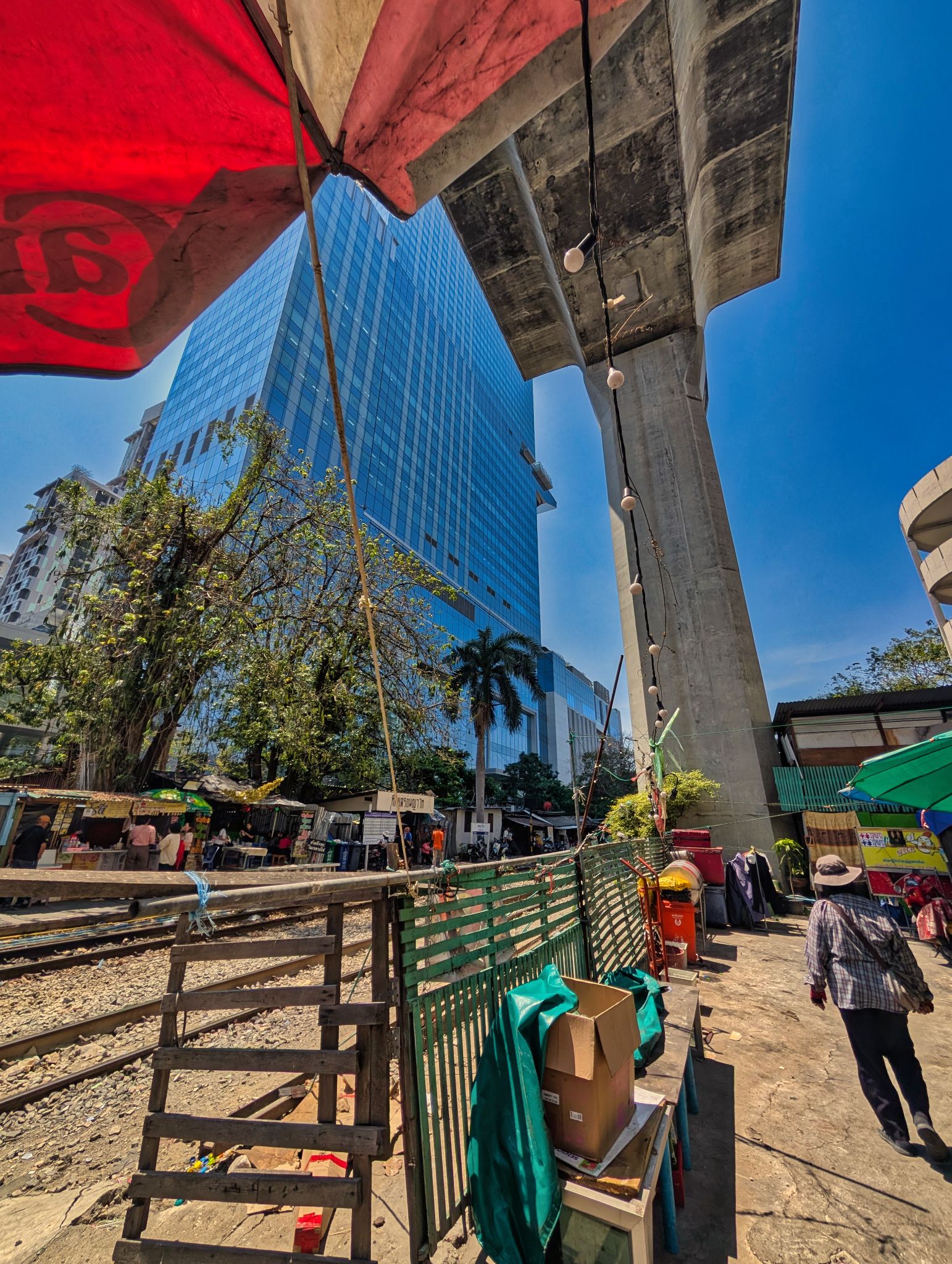 PXL 20250304 055414056