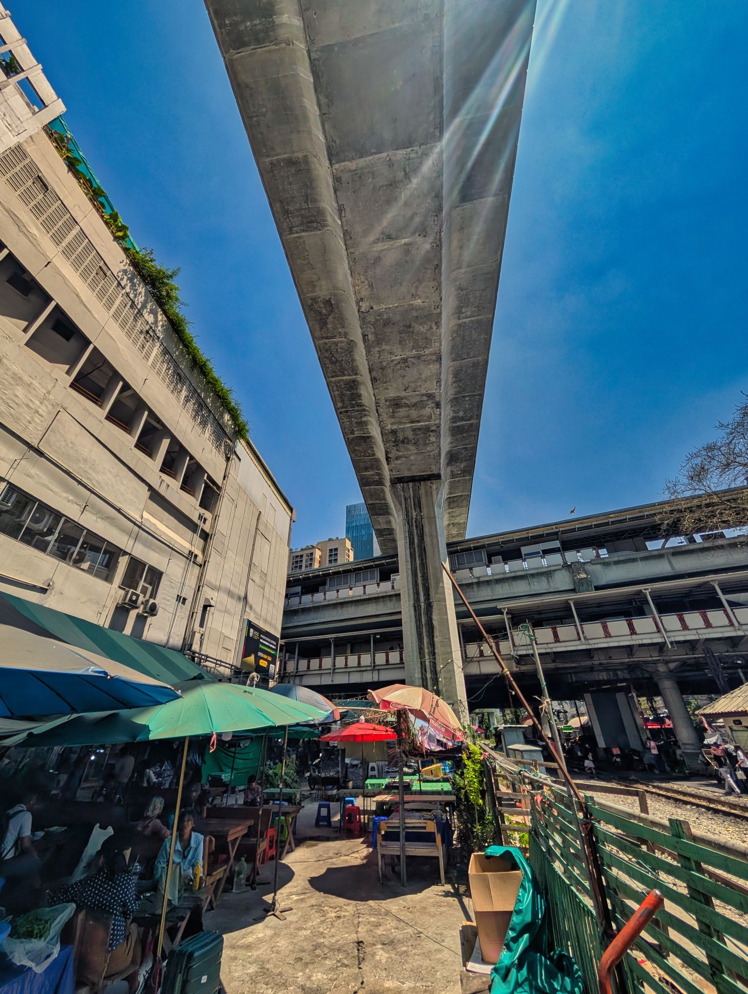 PXL 20250304 055453508