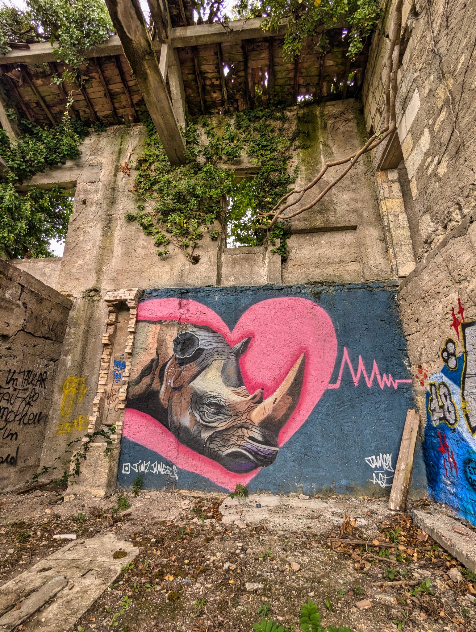 PXL 20240921 122925918