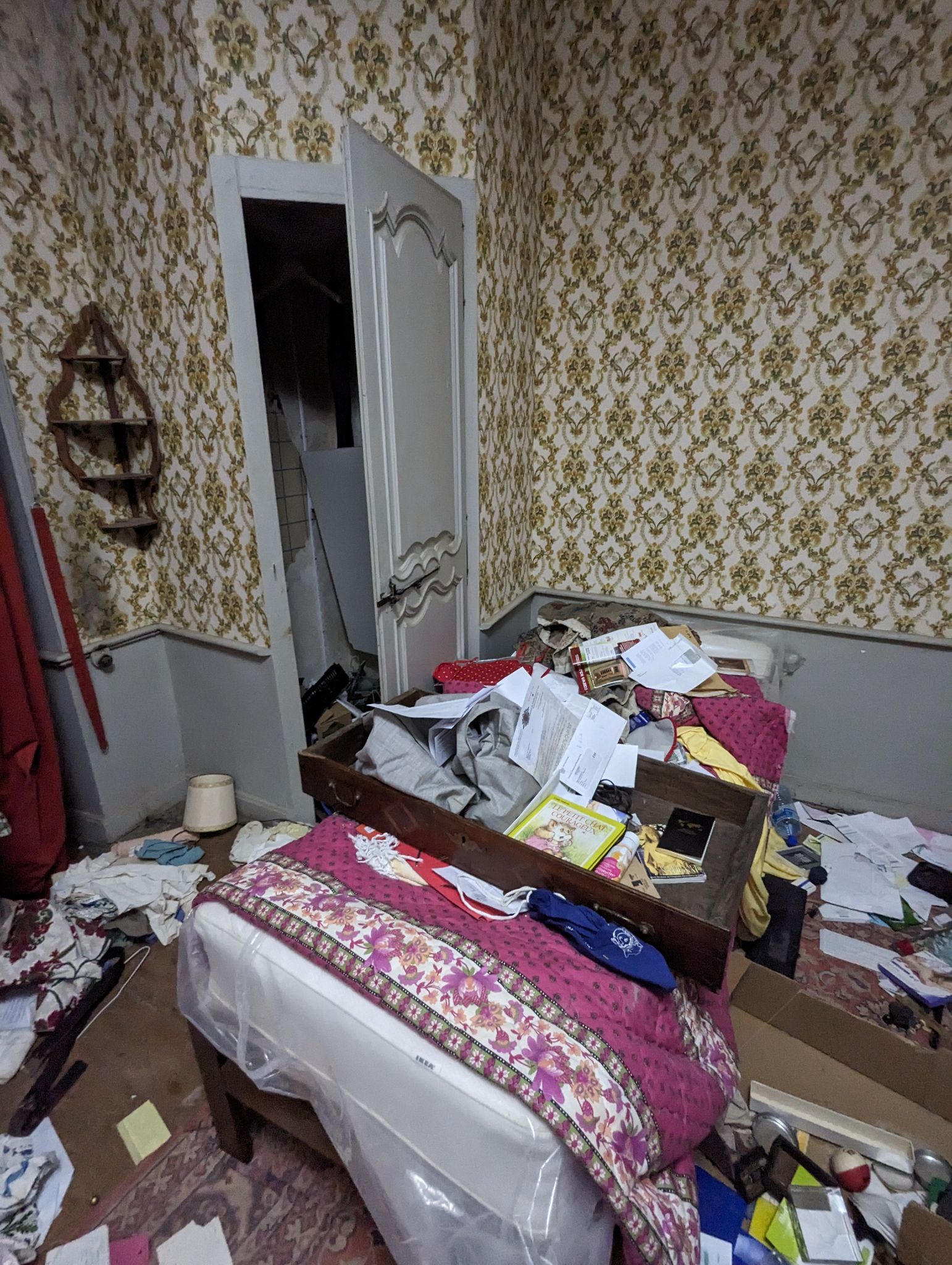 PXL 20240526 105037544