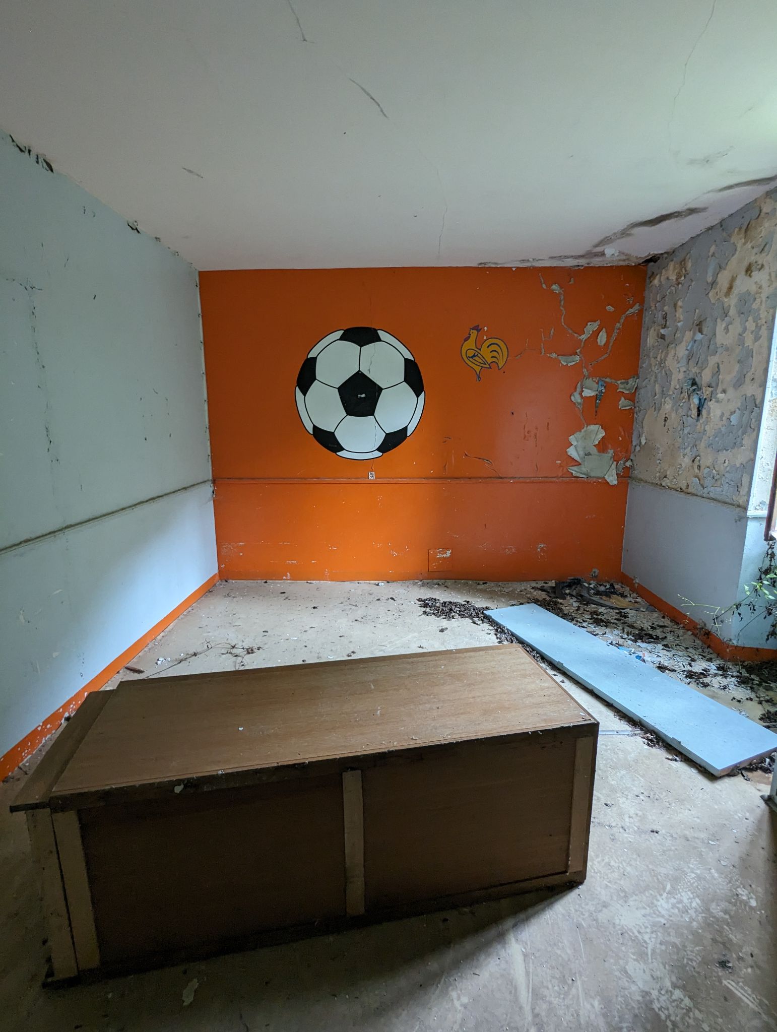 PXL 20240614 093311512