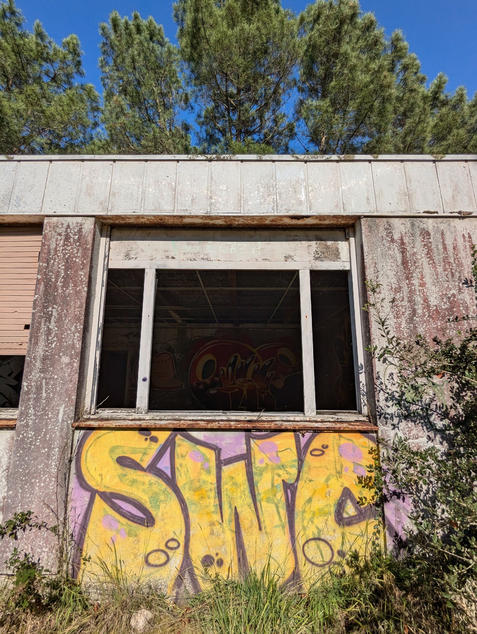 PXL 20241013 115914855.MP