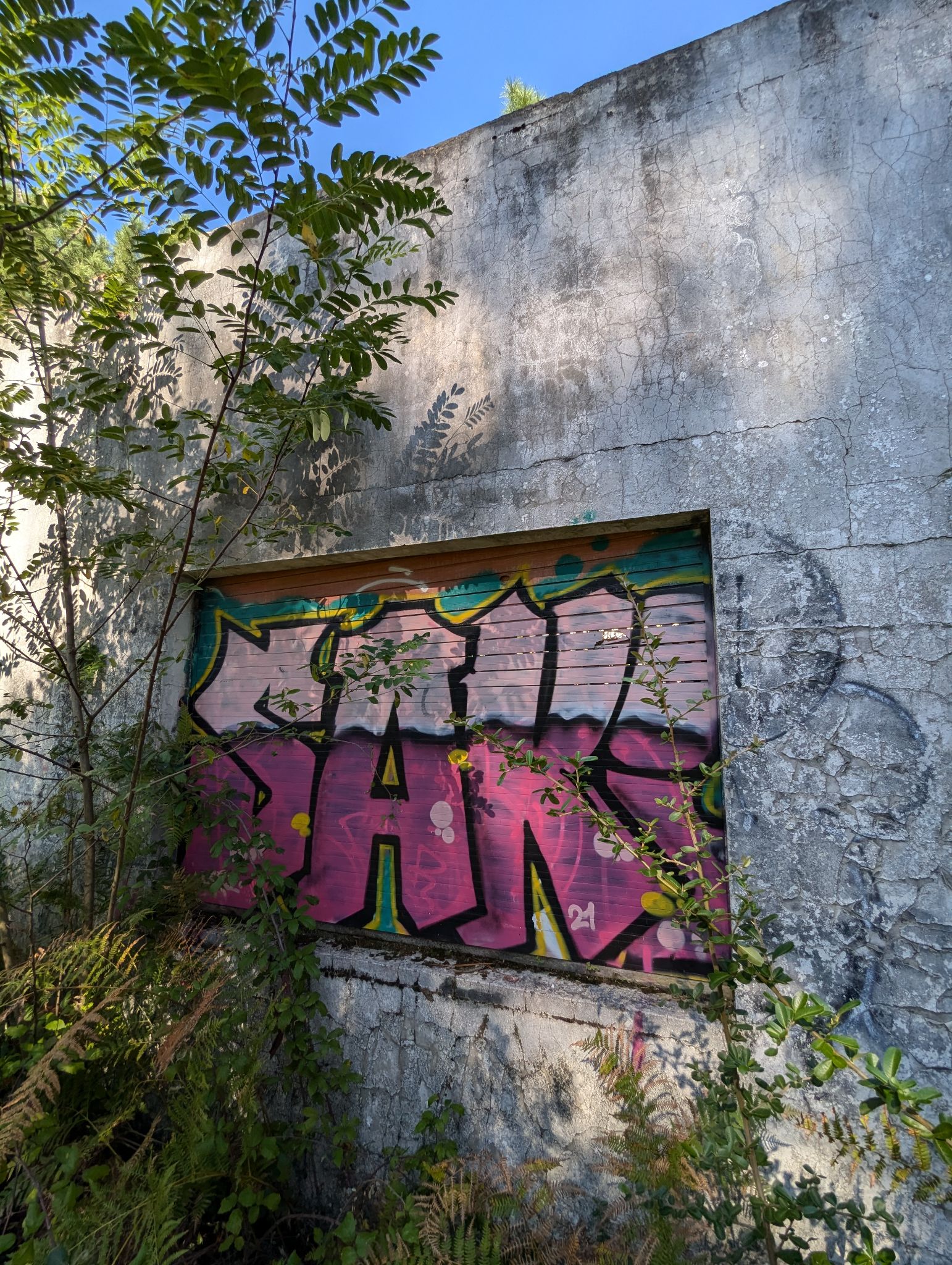 PXL 20241013 120101590