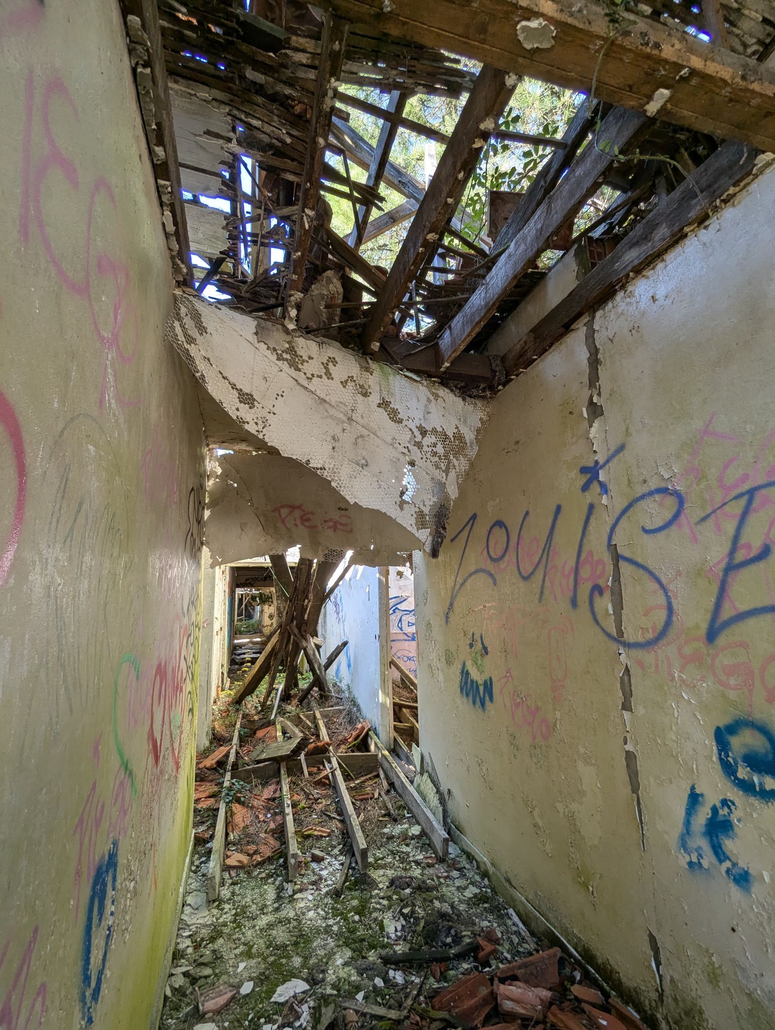 PXL 20241013 120225706