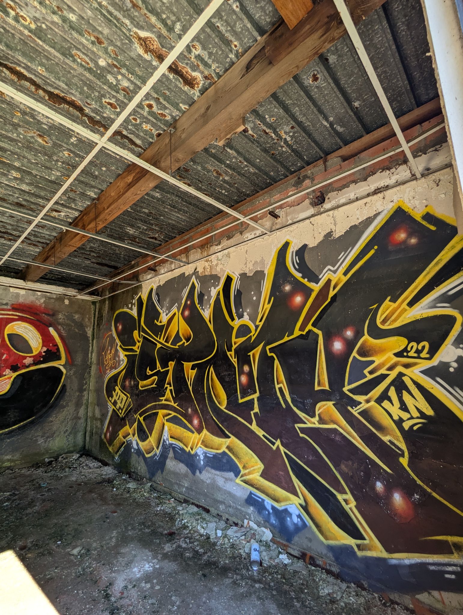 PXL 20241013 120429160