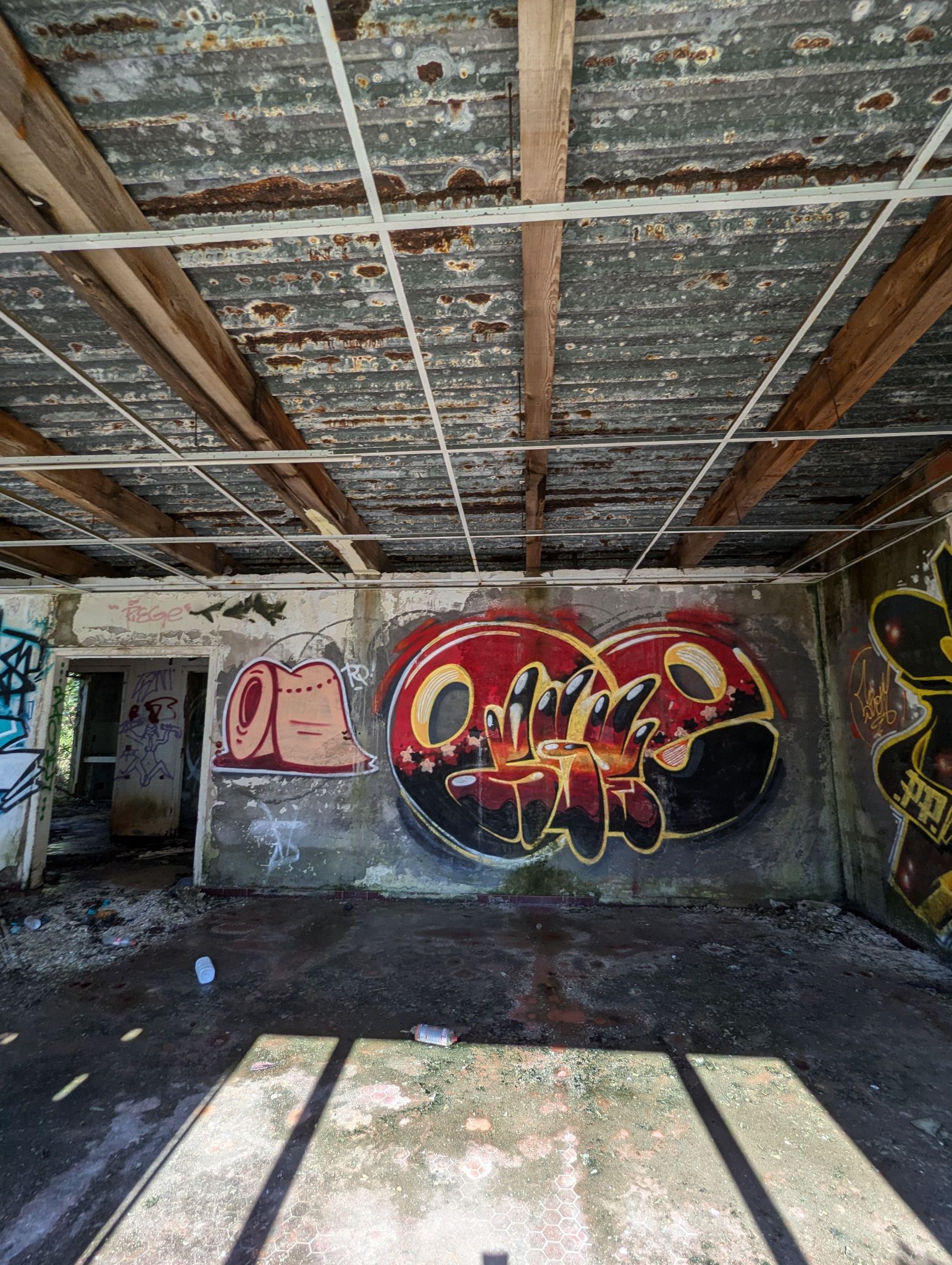 PXL 20241013 120432708