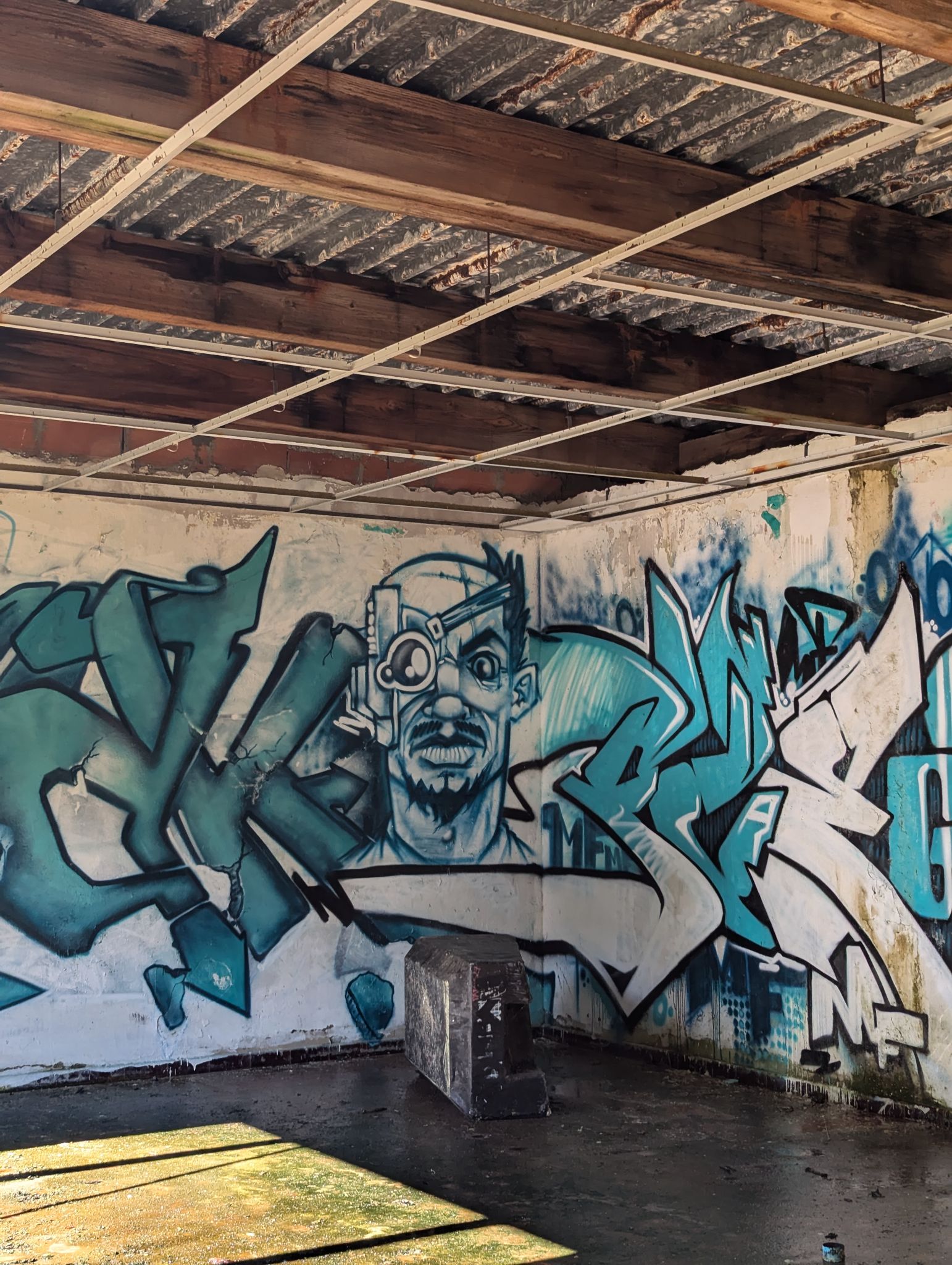 PXL 20241013 120439149.MP