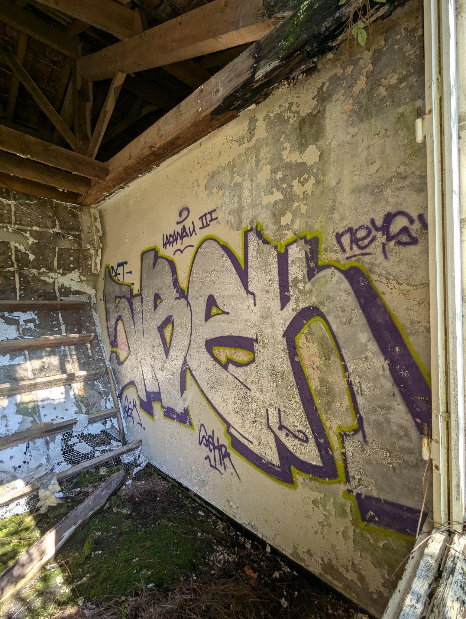 PXL 20241013 120616932