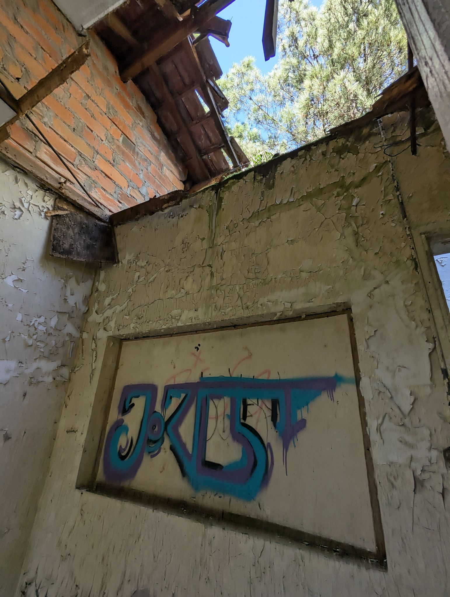 PXL 20241013 120851228