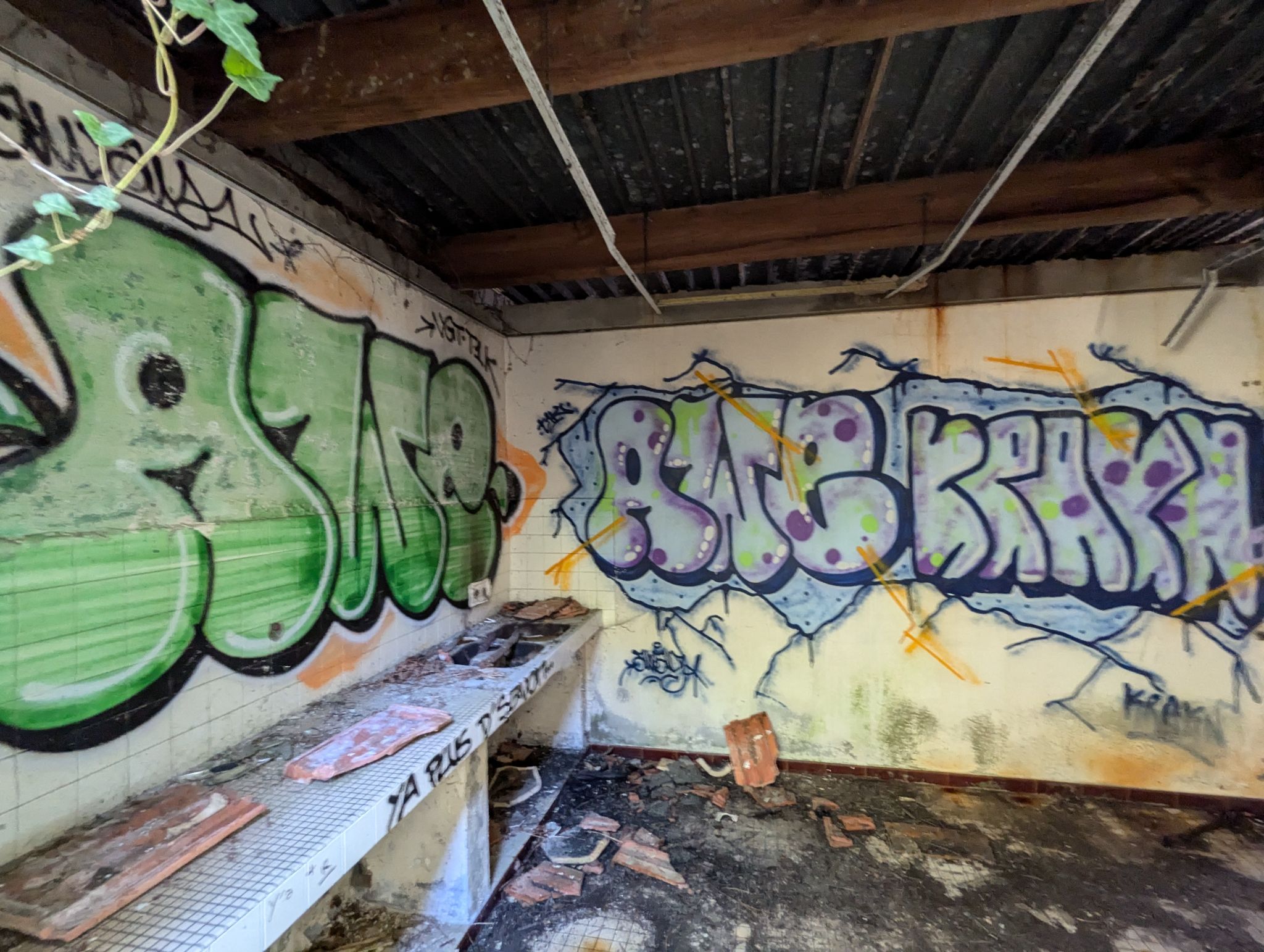 PXL 20241013 121151447.MP