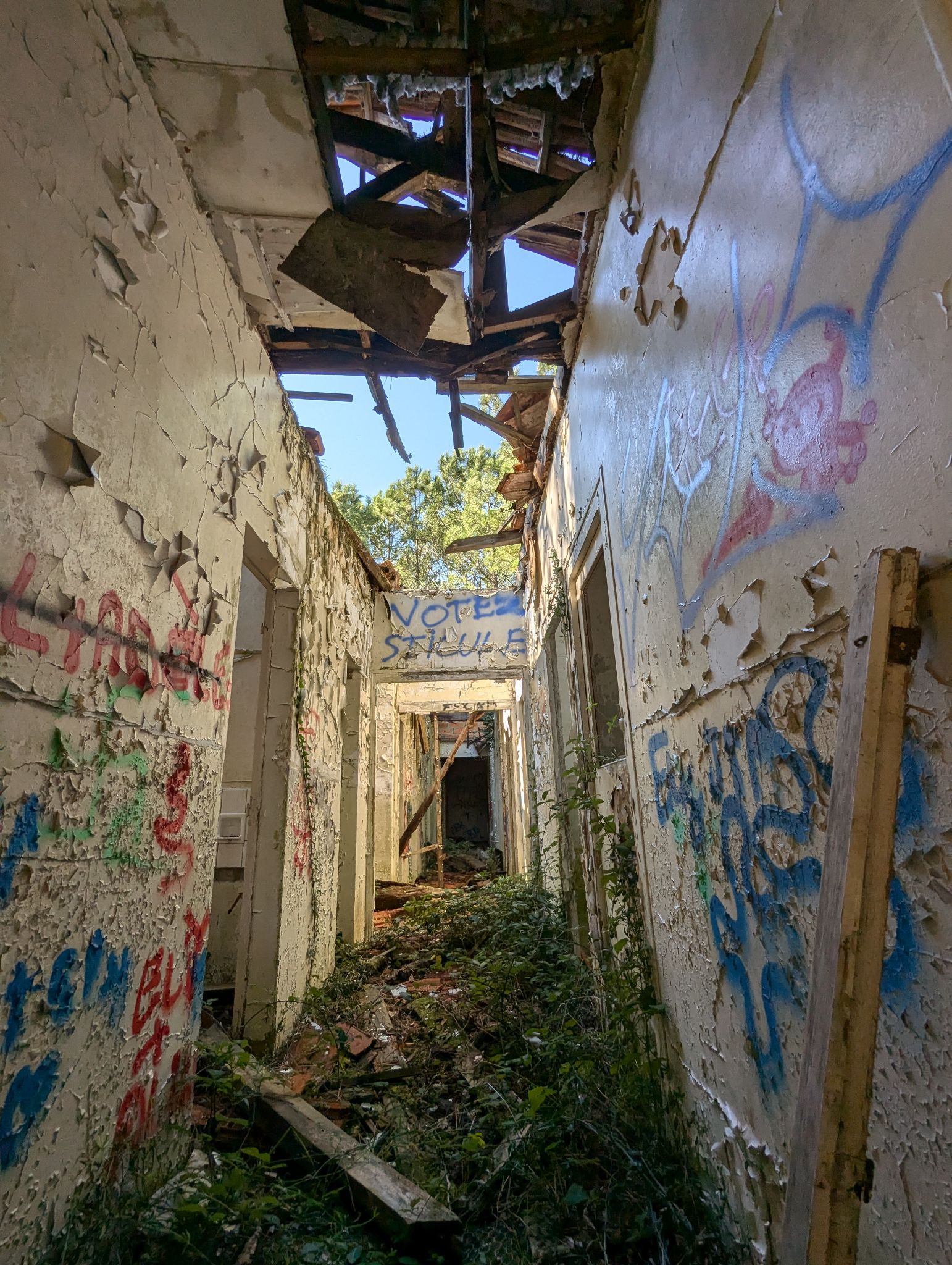 PXL 20241013 121238393