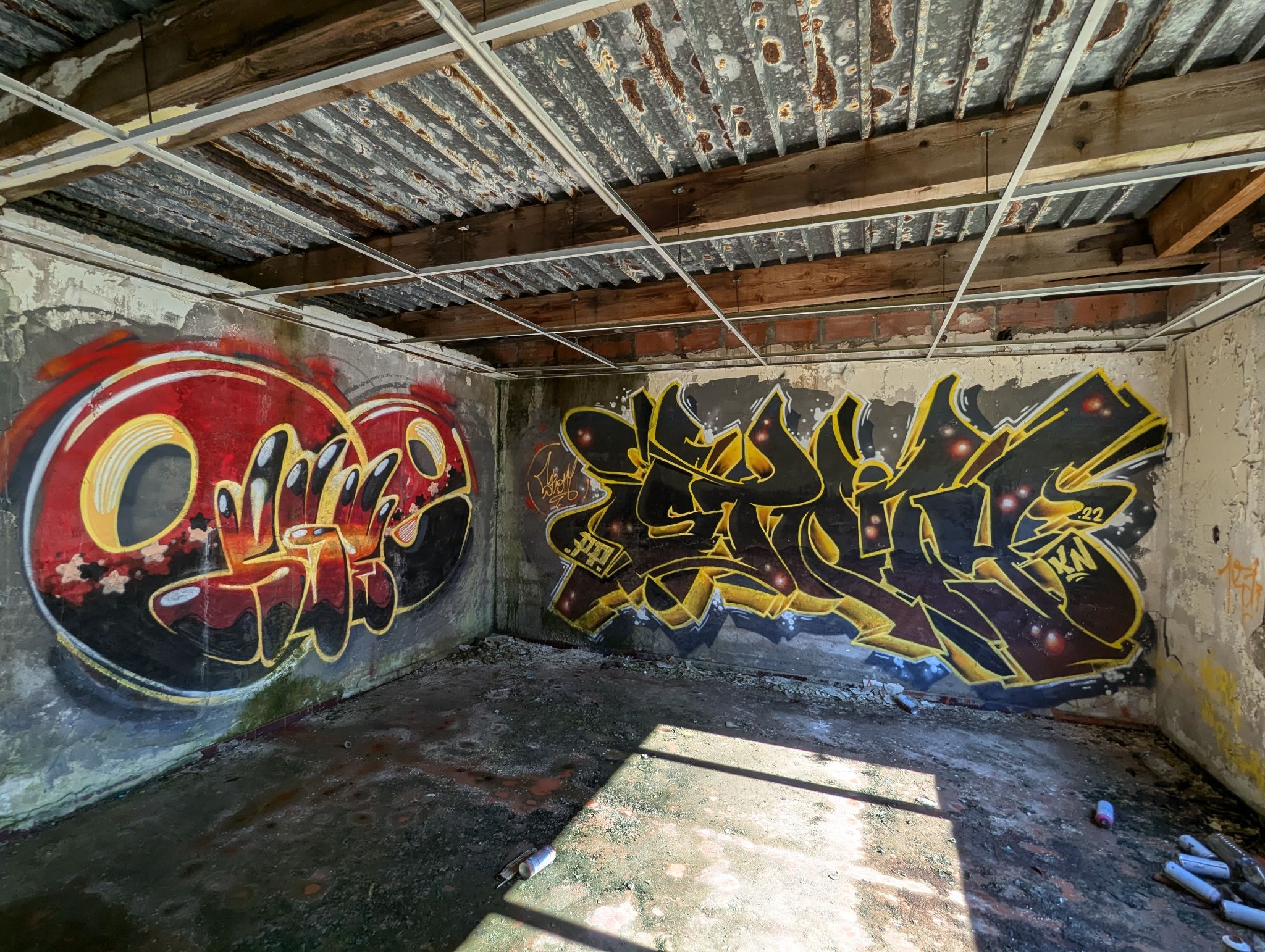 PXL 20241013 121327387