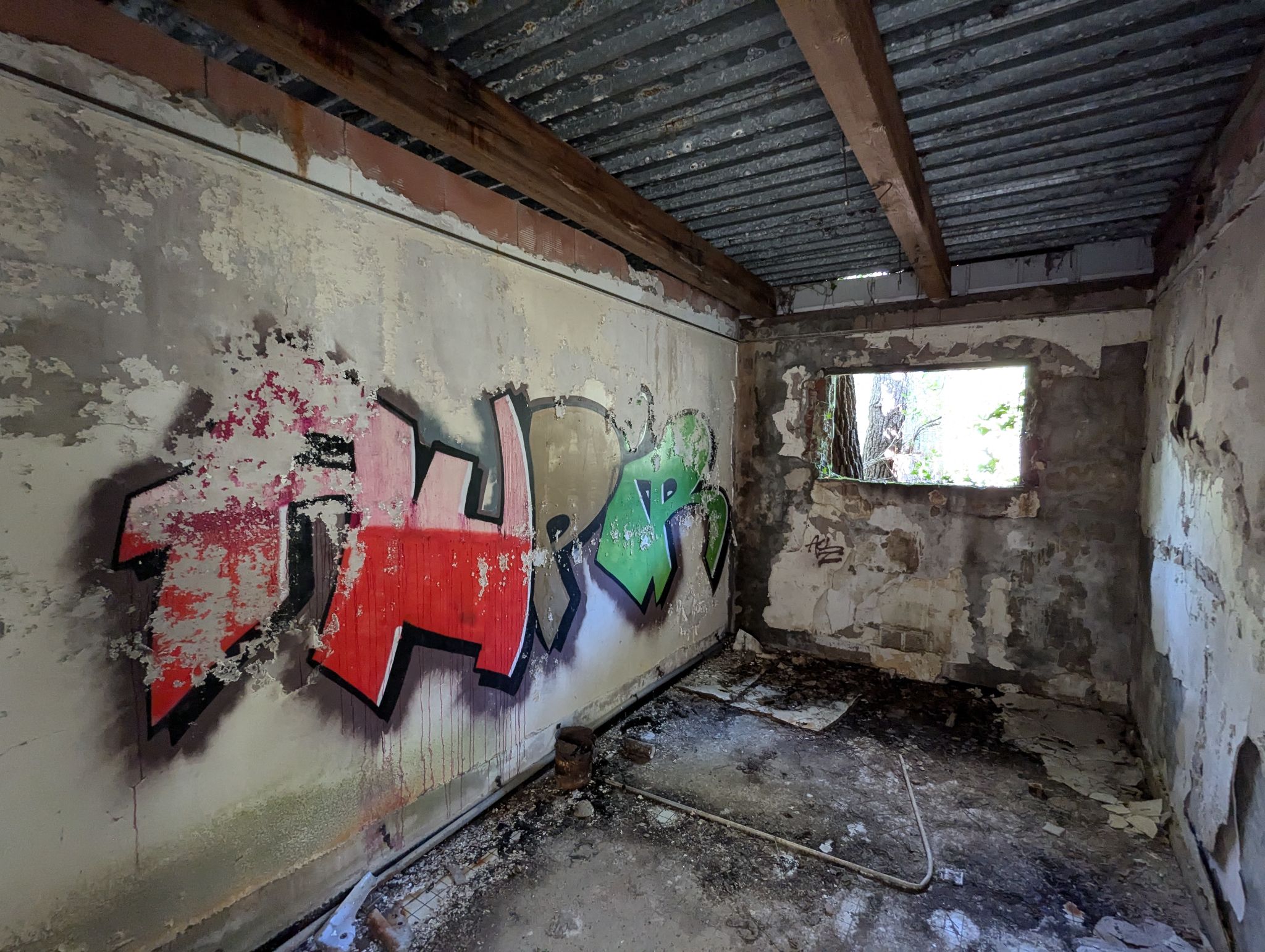 PXL 20241013 121401557