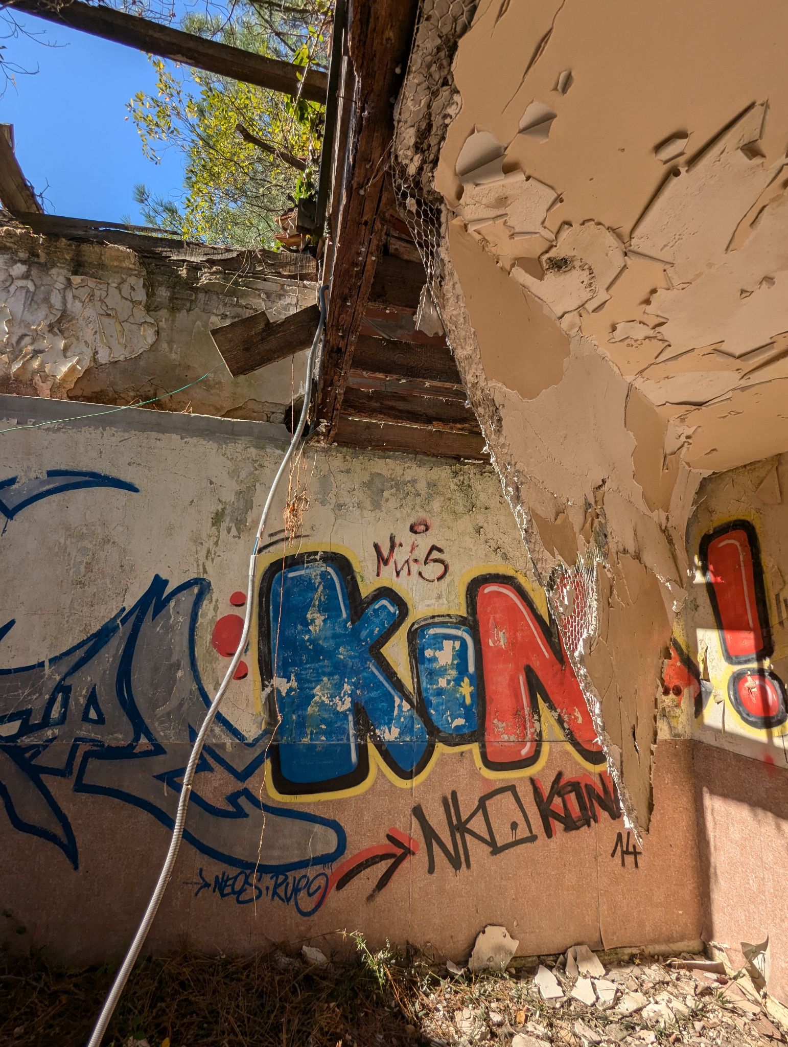 PXL 20241013 121712585