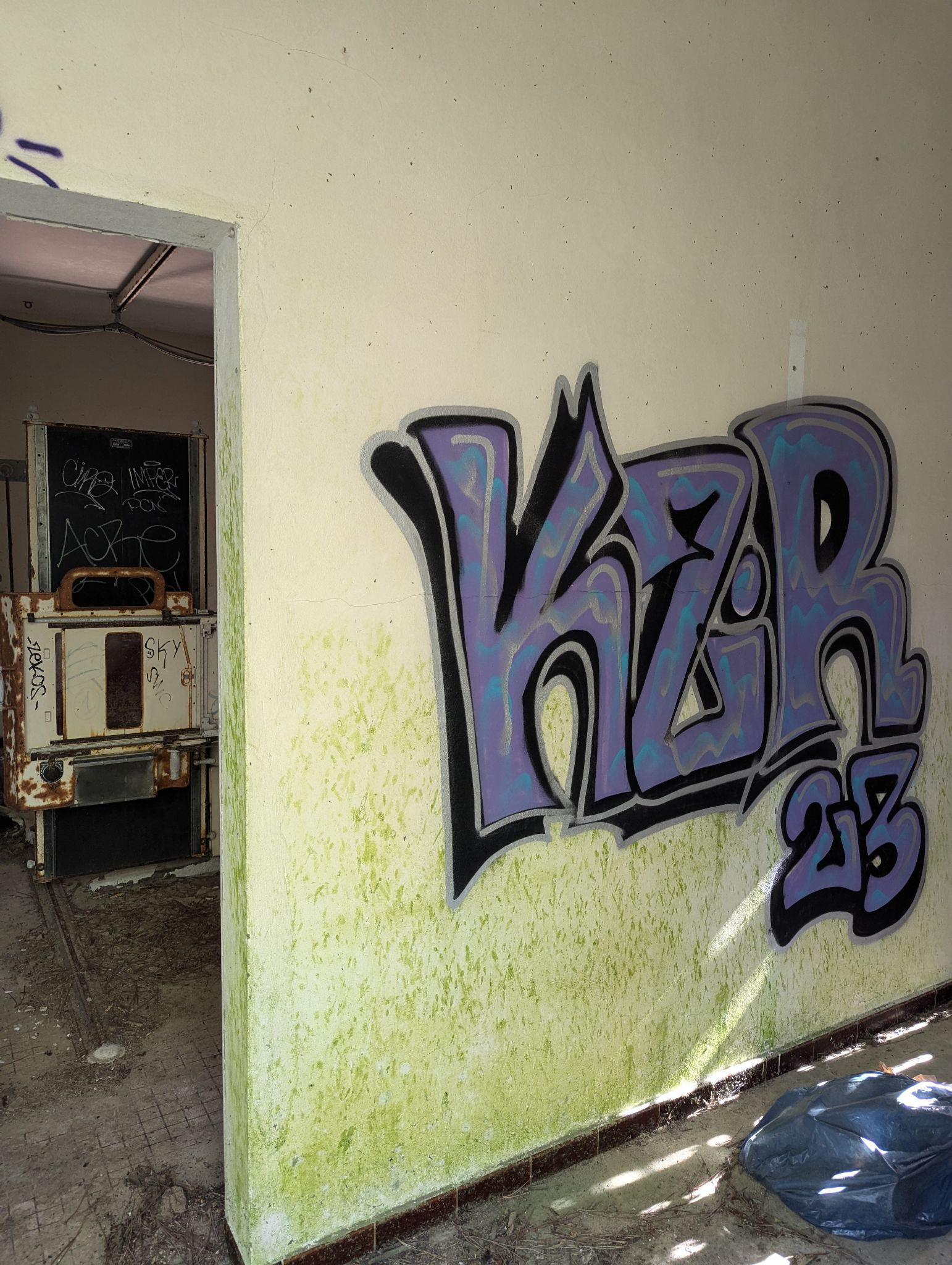 PXL 20241013 121945392