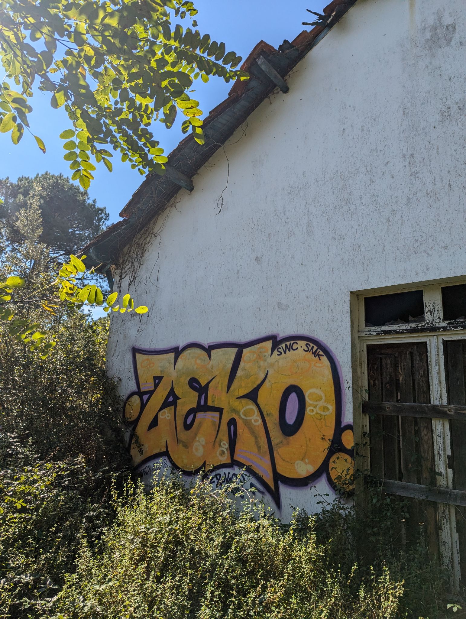 PXL 20241013 122655861.MP