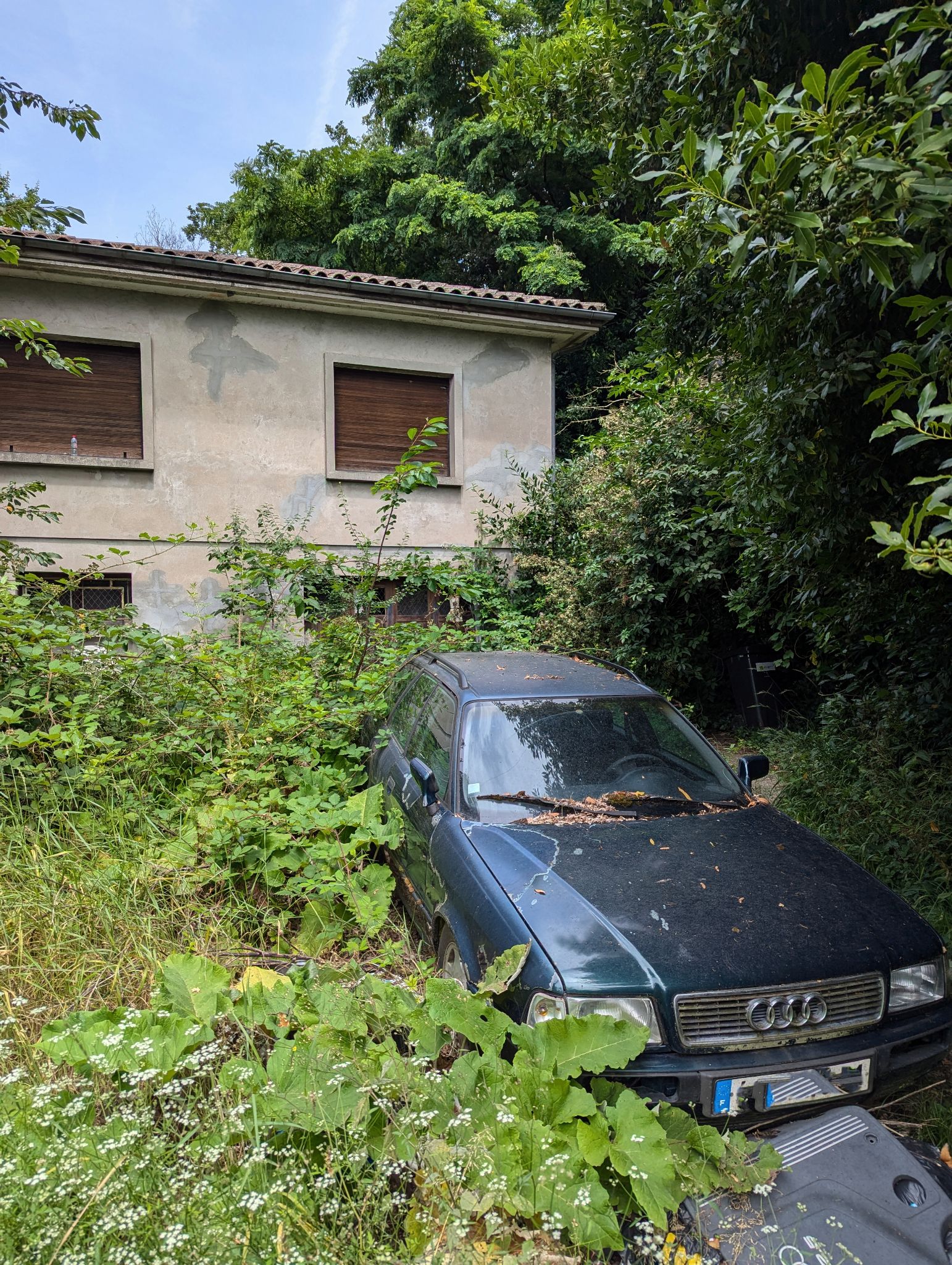 PXL 20240702 123105385