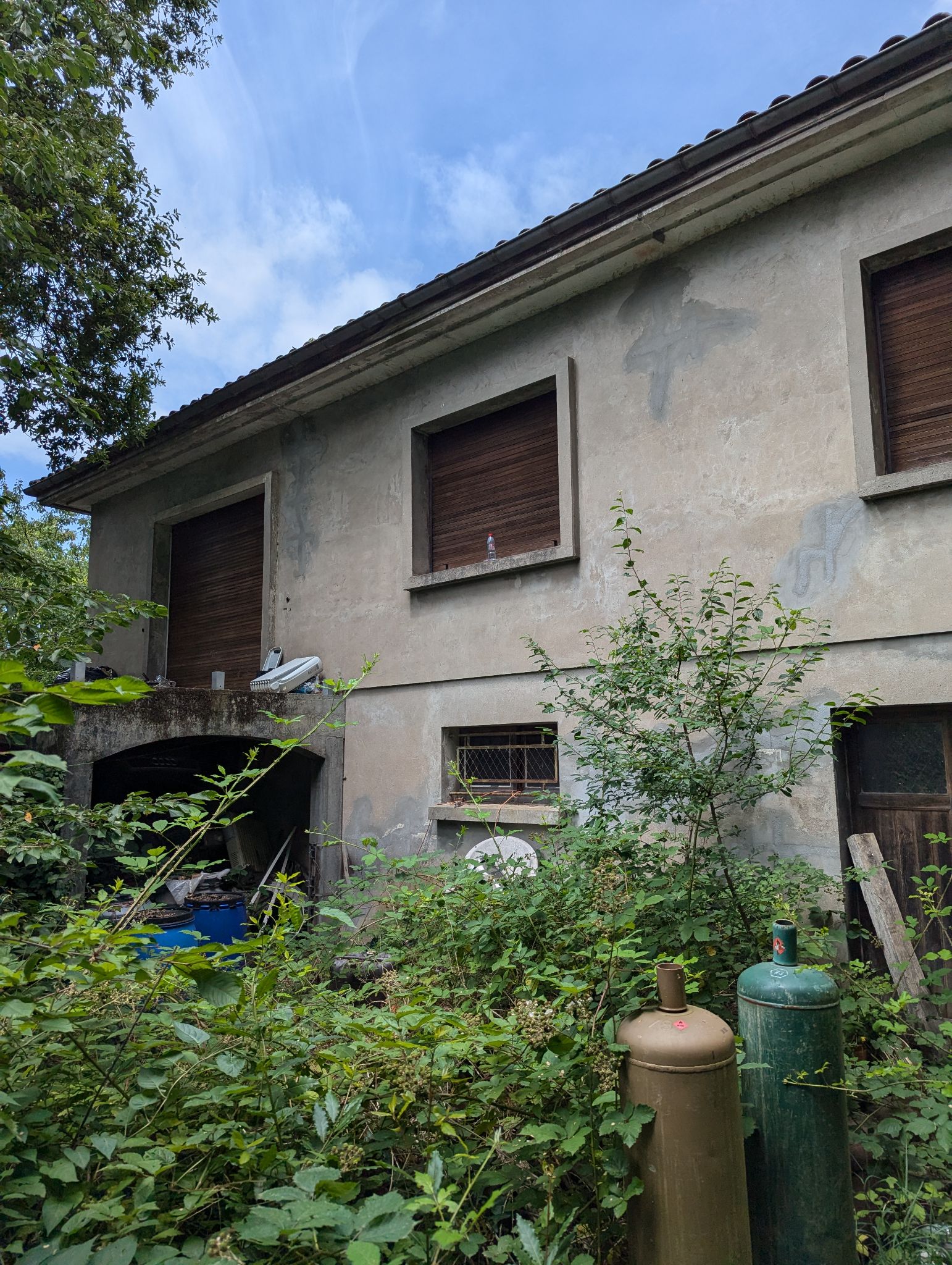 PXL 20240702 123121859