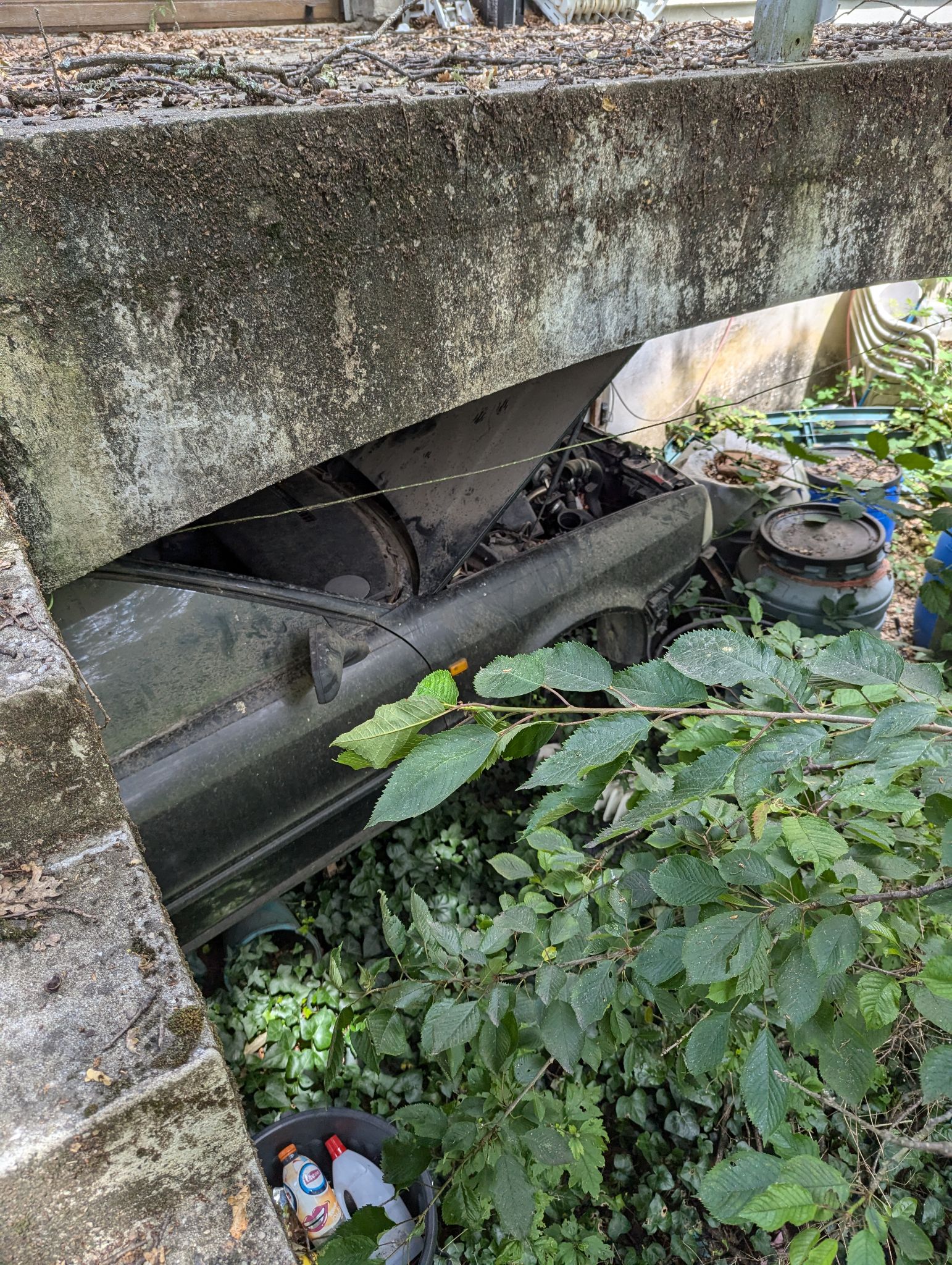 PXL 20240702 123332170.MP