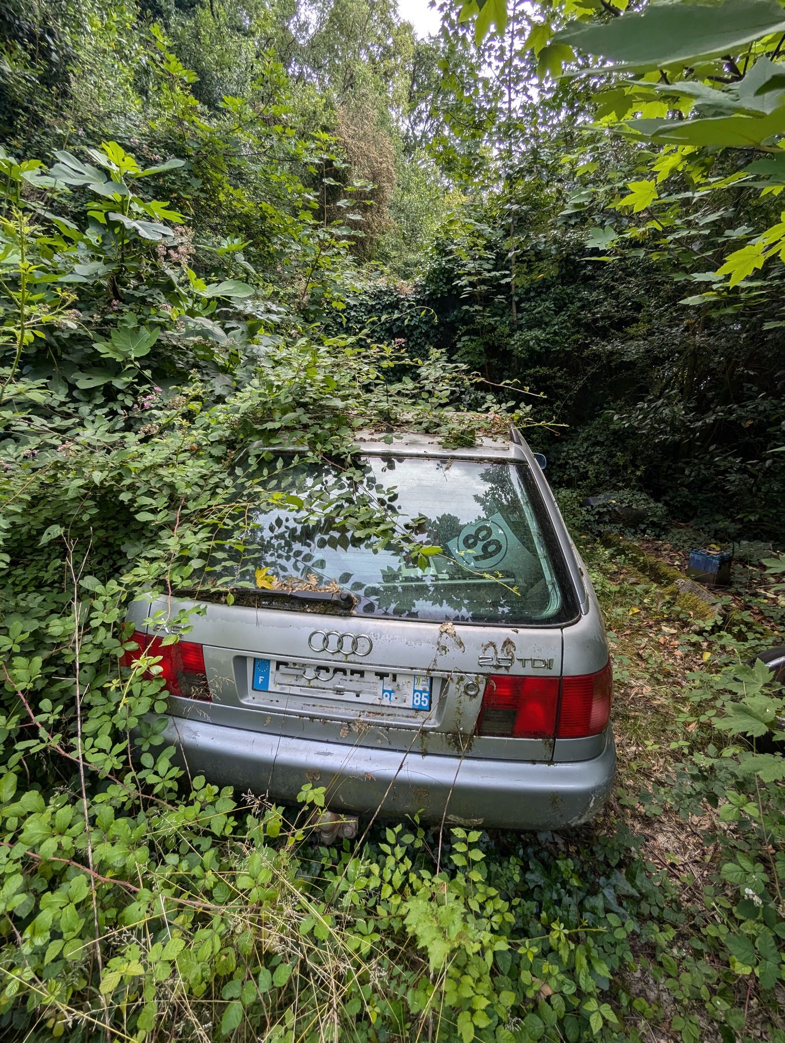 PXL 20240702 123923973