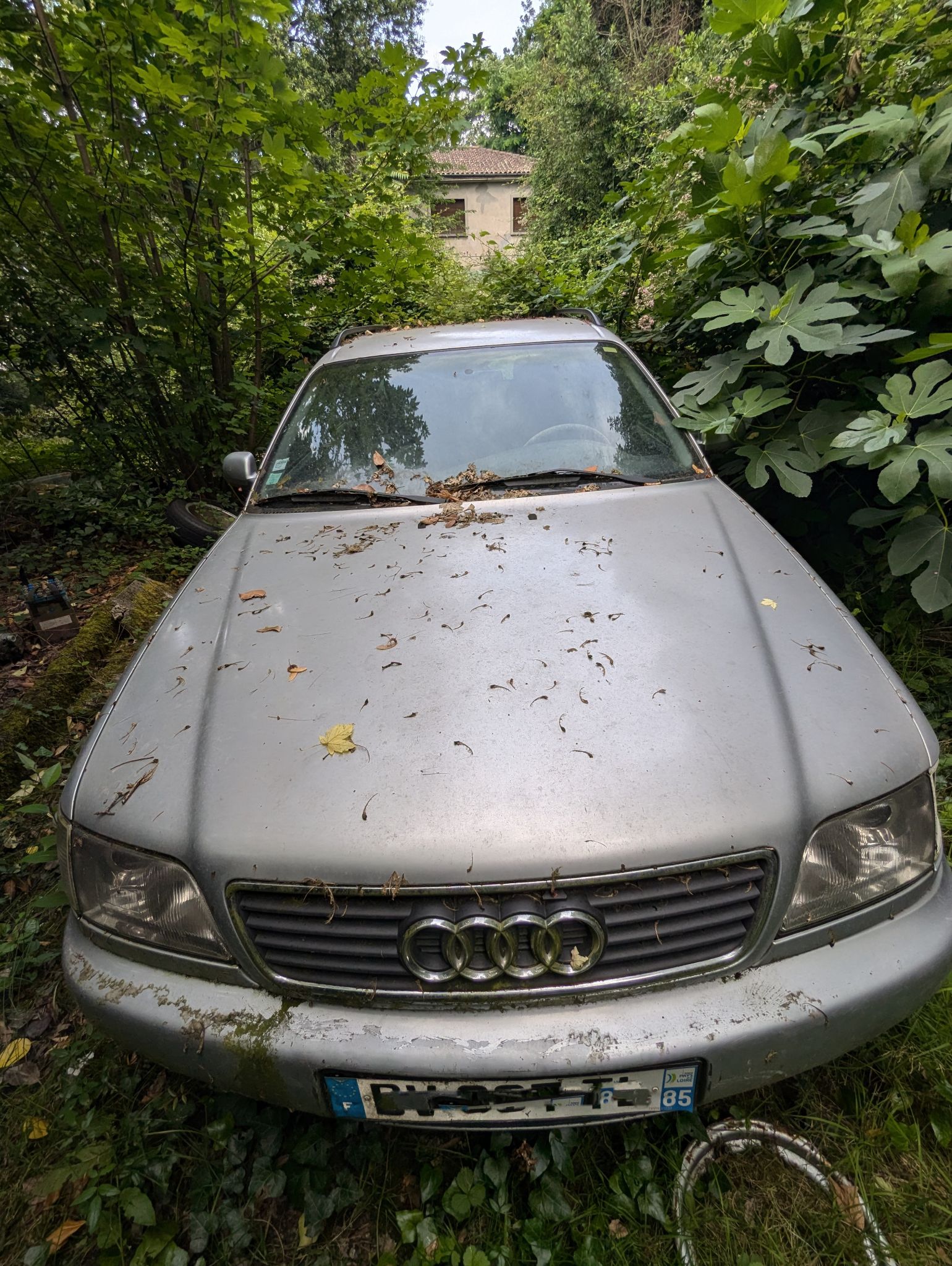 PXL 20240702 123942949