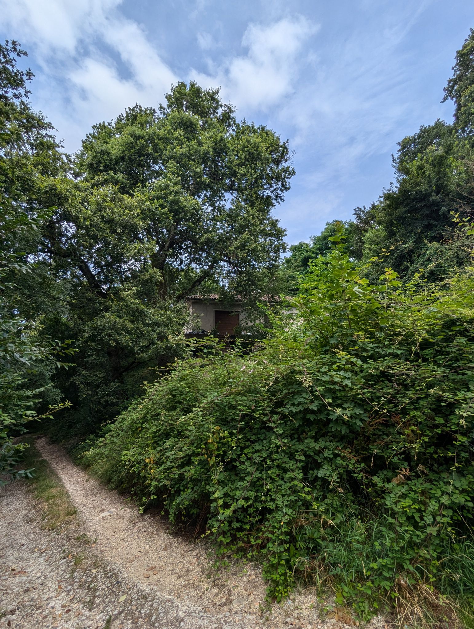 PXL 20240702 124103660.MP