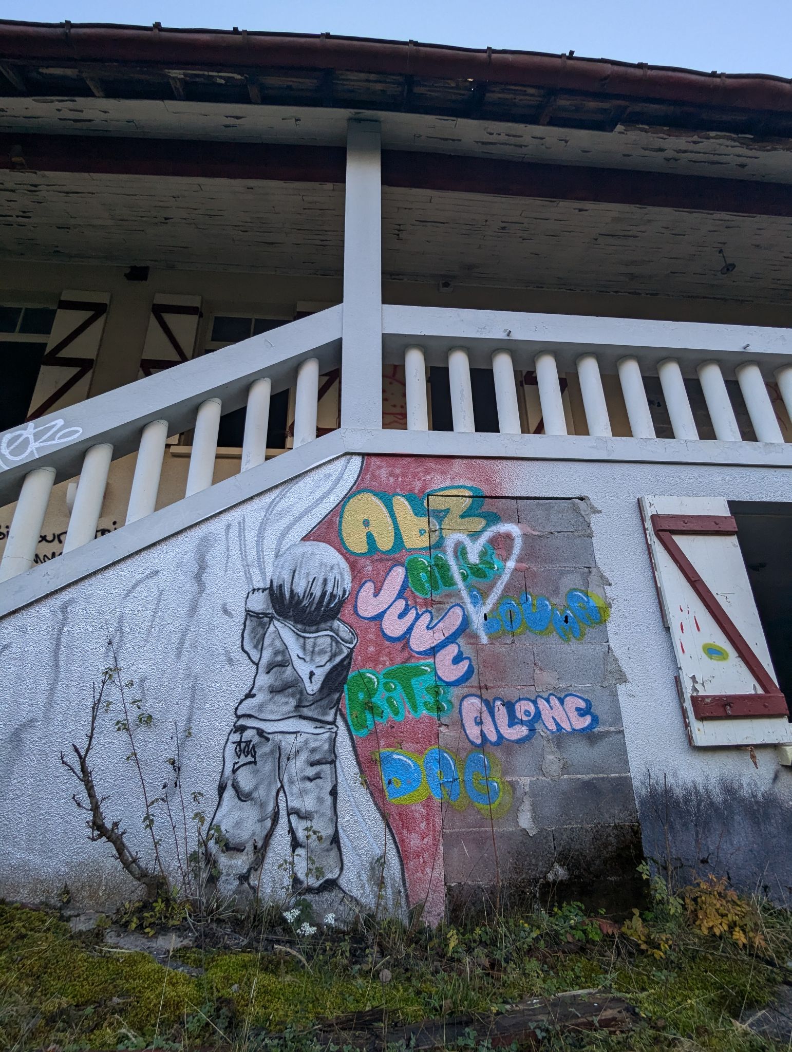 PXL 20241111 094705902