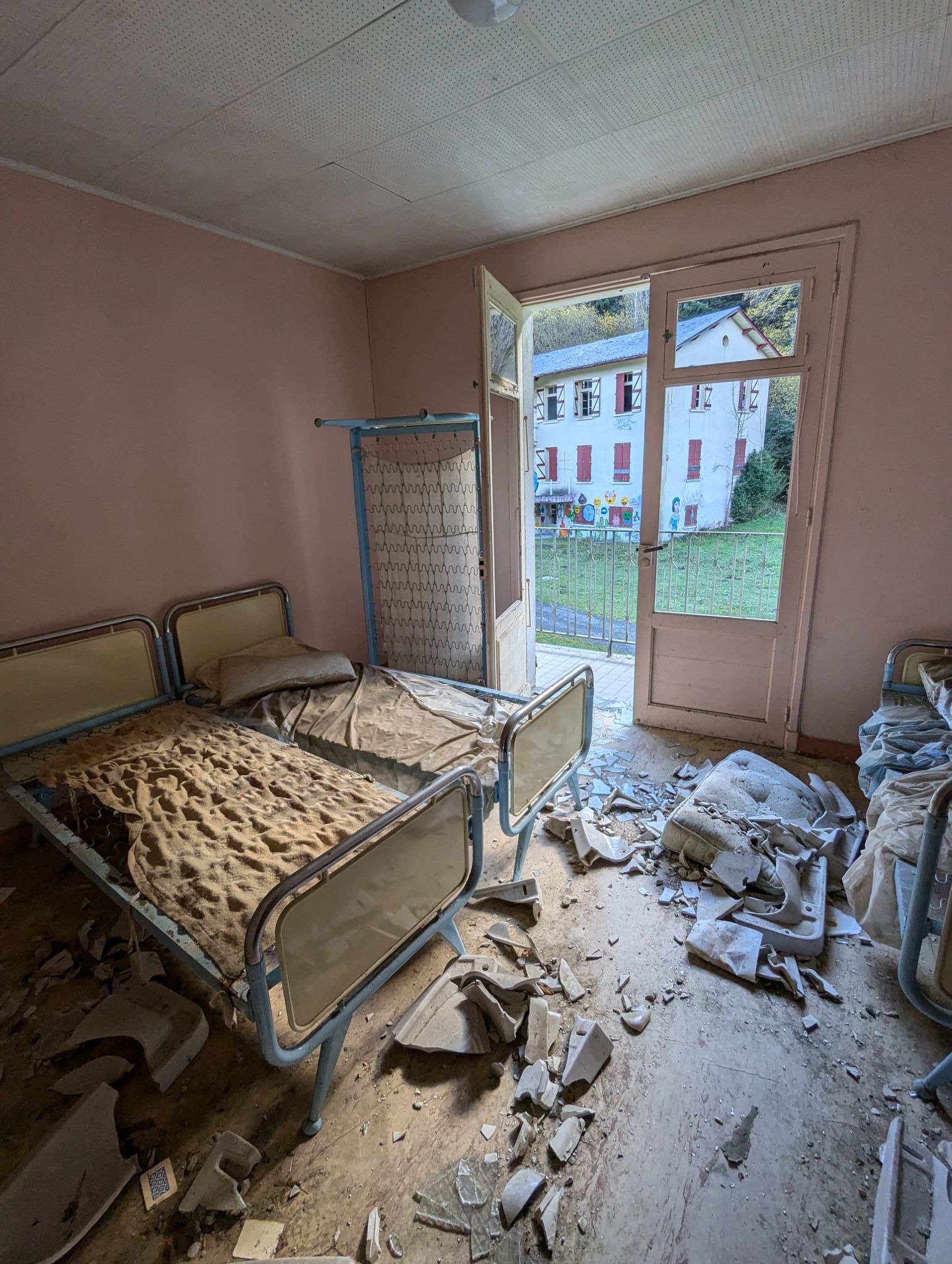 PXL 20241111 095717219