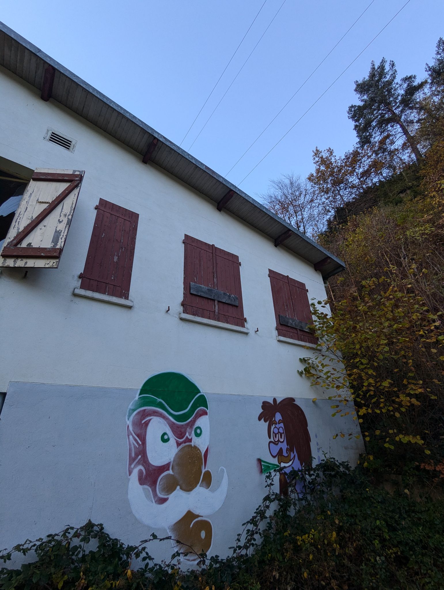 PXL 20241111 100021837