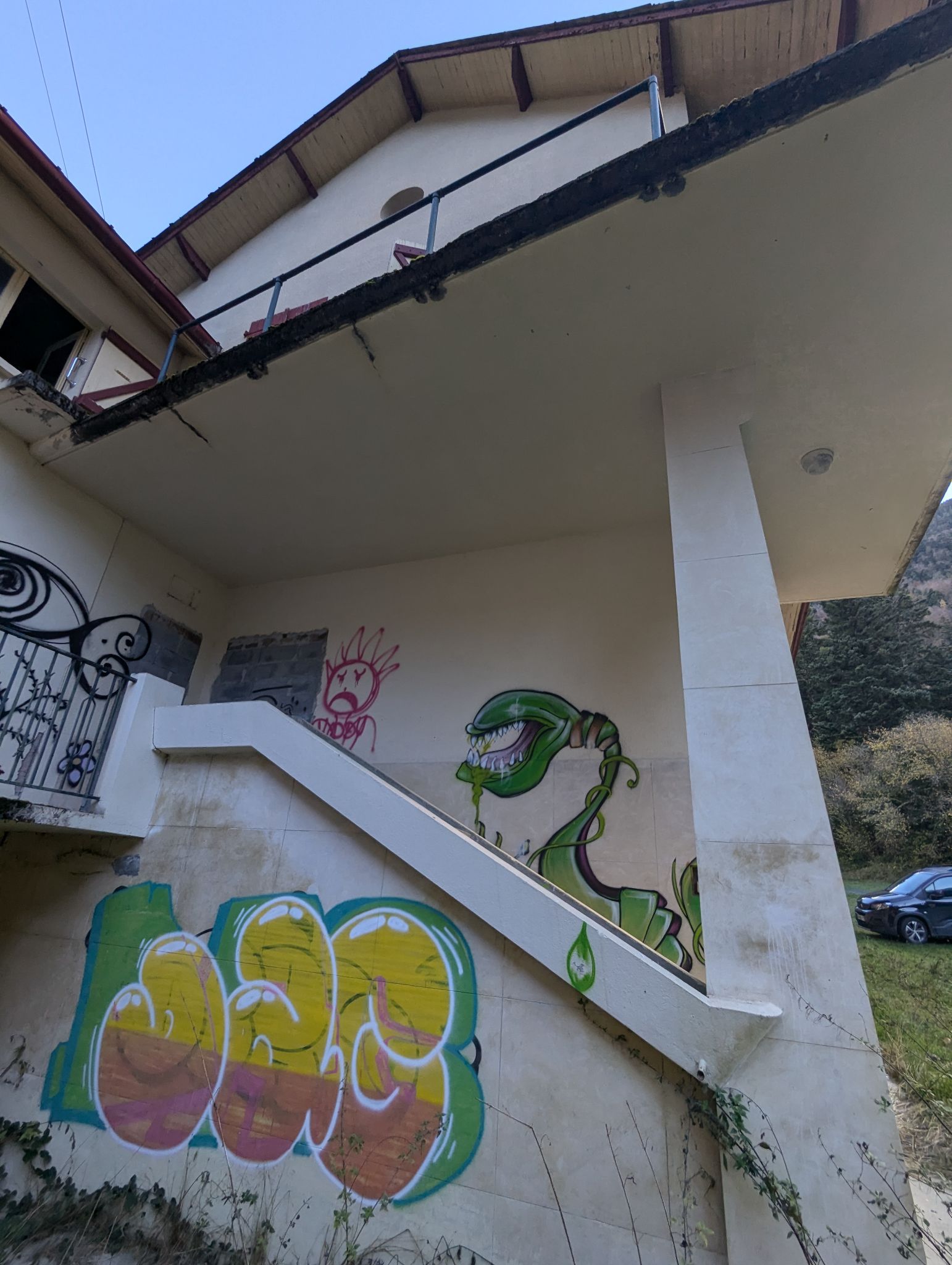 PXL 20241111 100652107