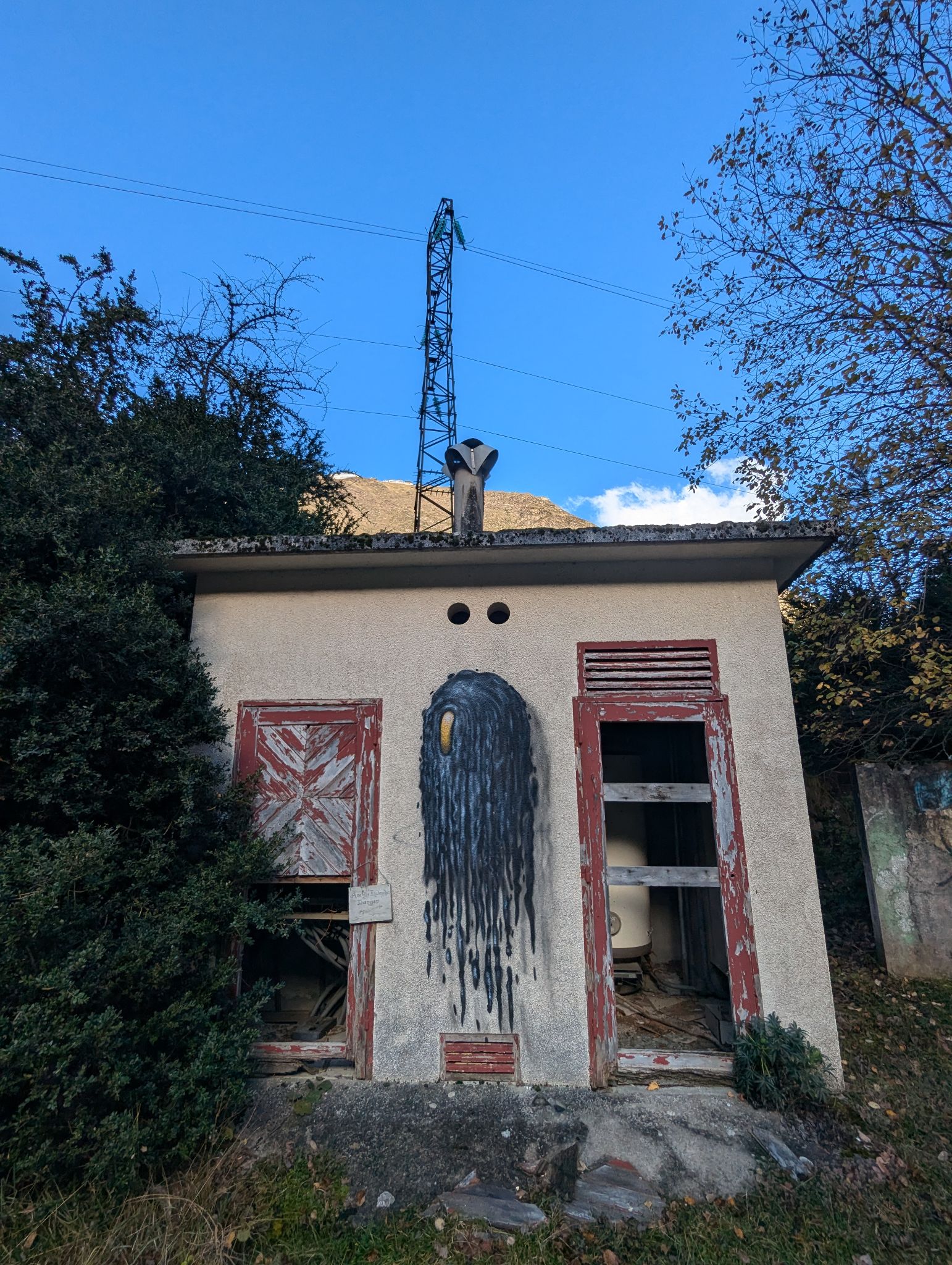 PXL 20241111 100907797