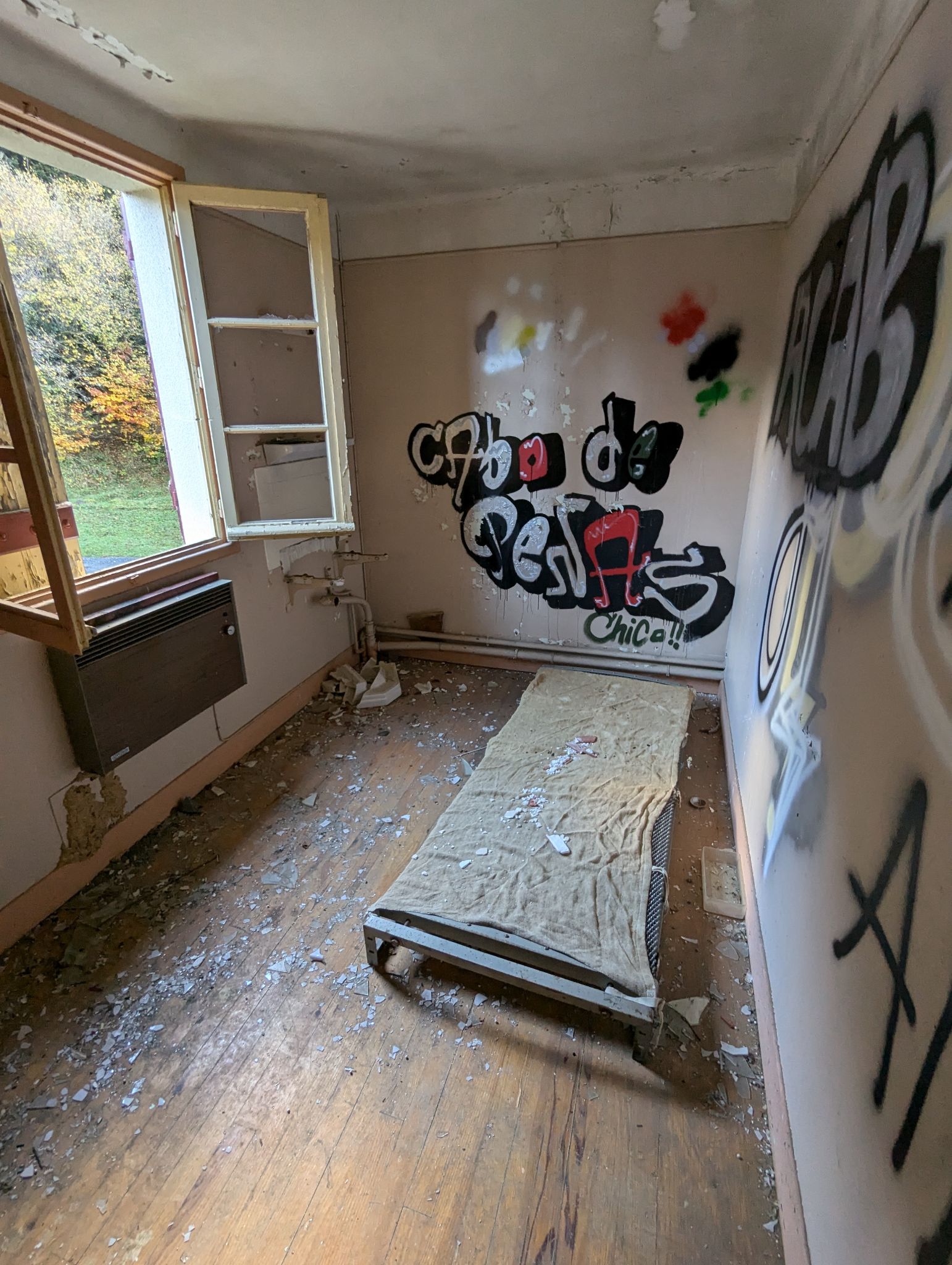 PXL 20241111 101301328