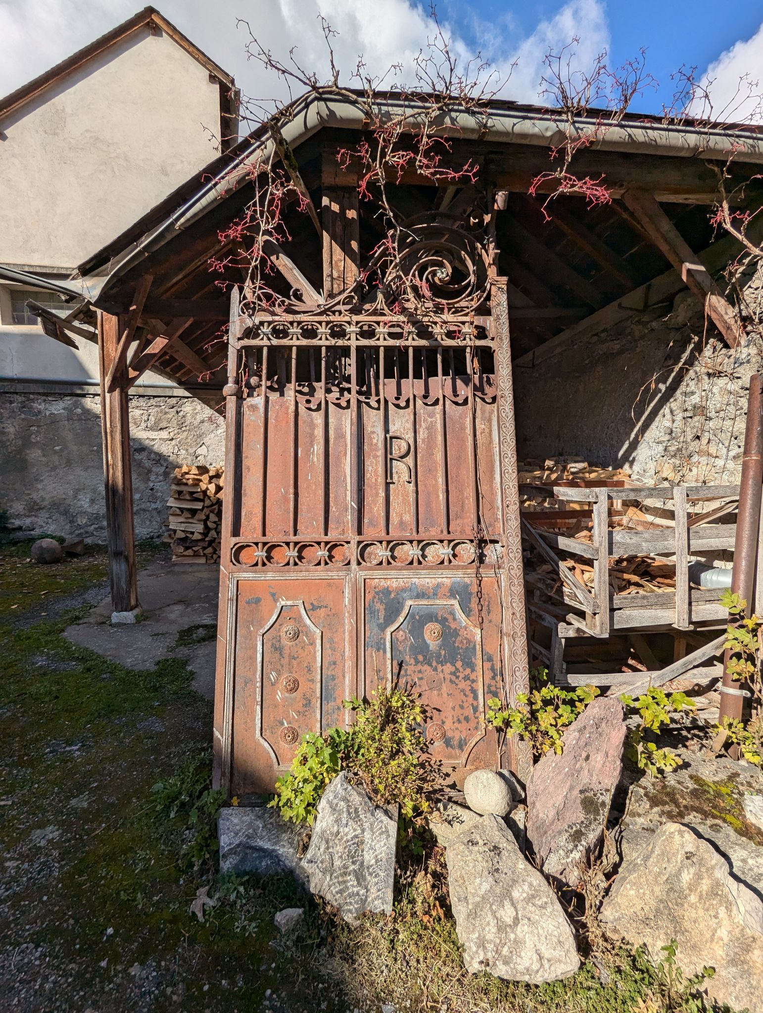 PXL 20241111 114008187