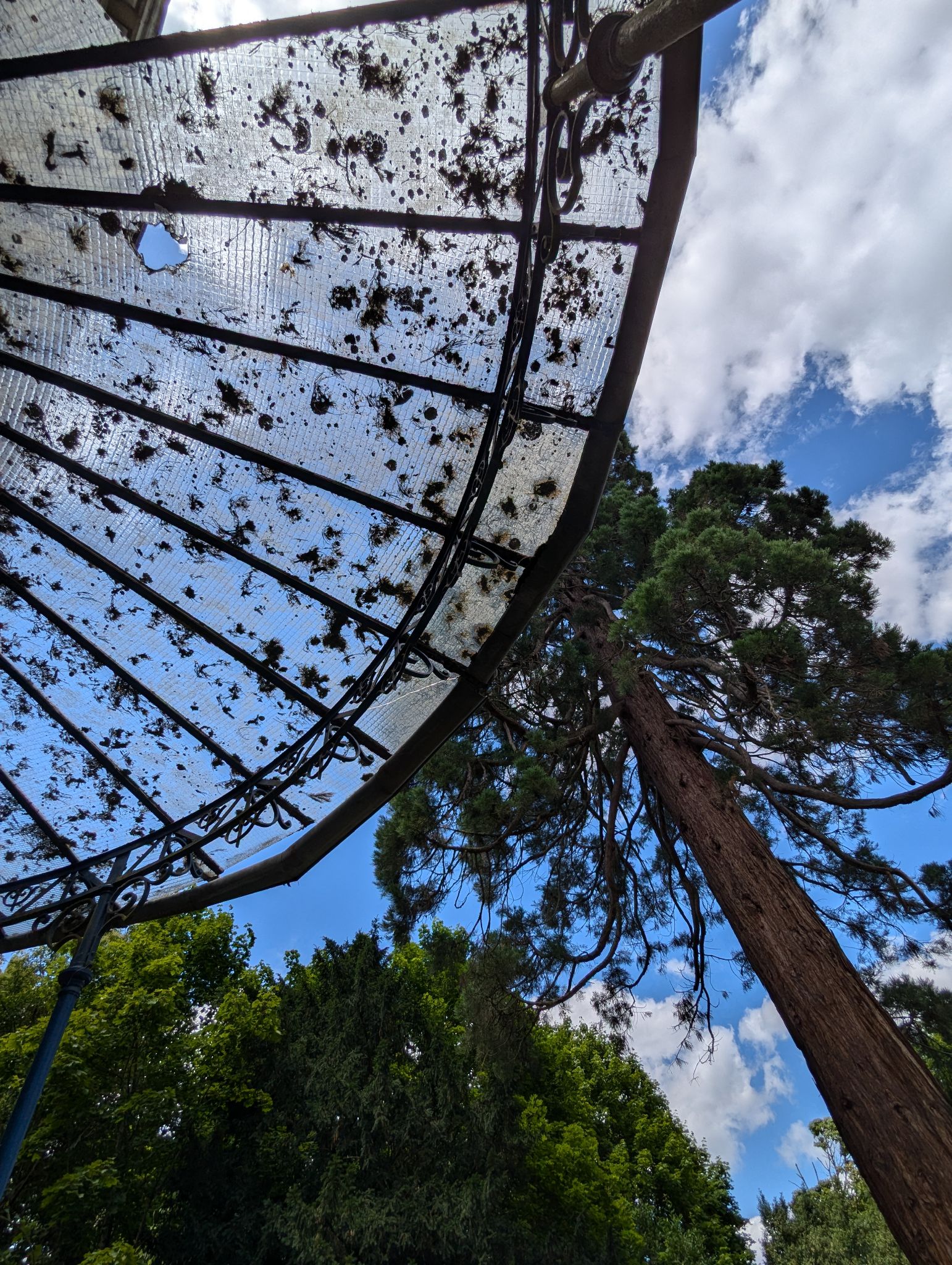 PXL 20240630 124022155