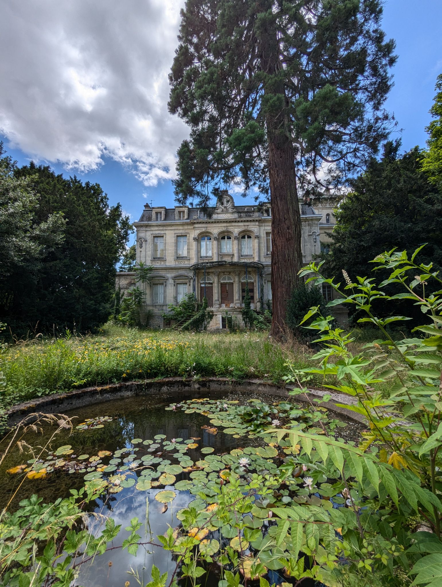 PXL 20240630 124719223