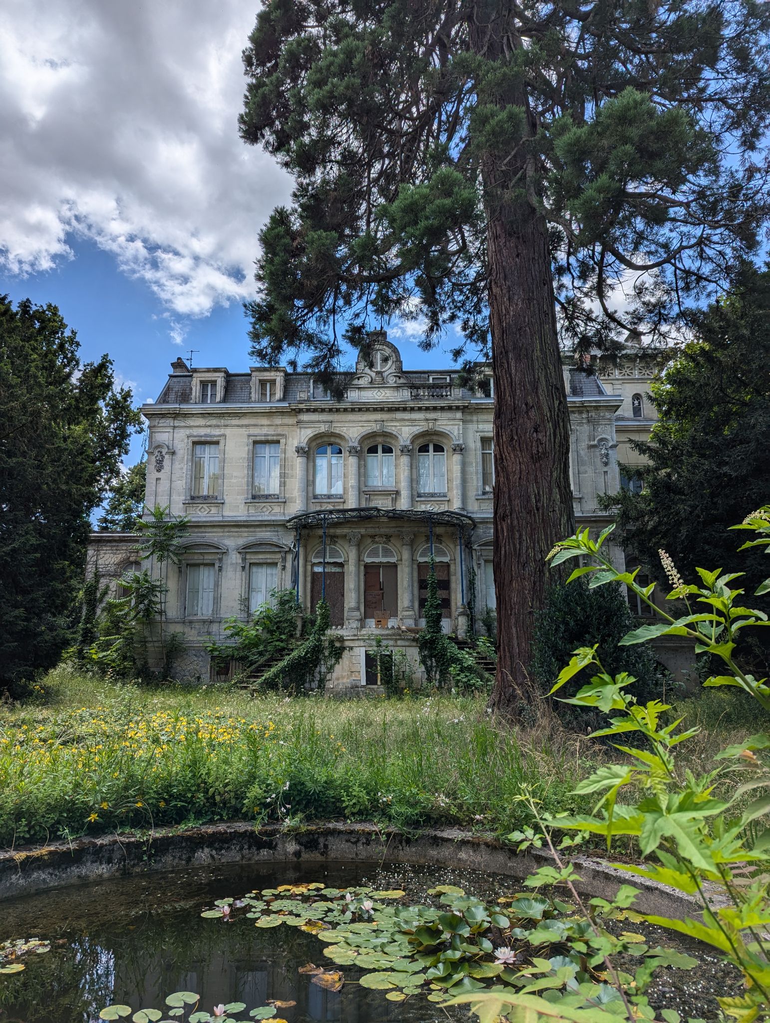 PXL 20240630 124725655