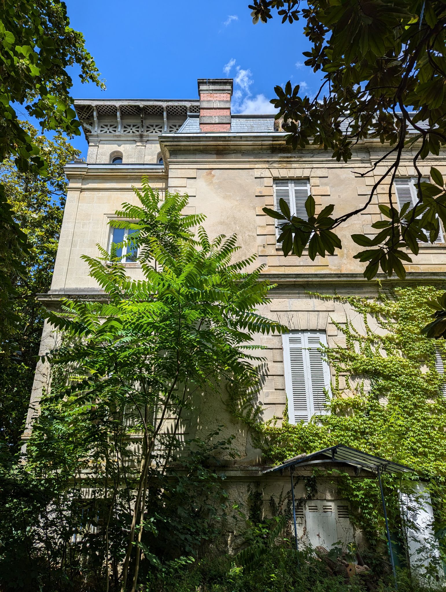 PXL 20240630 131334535