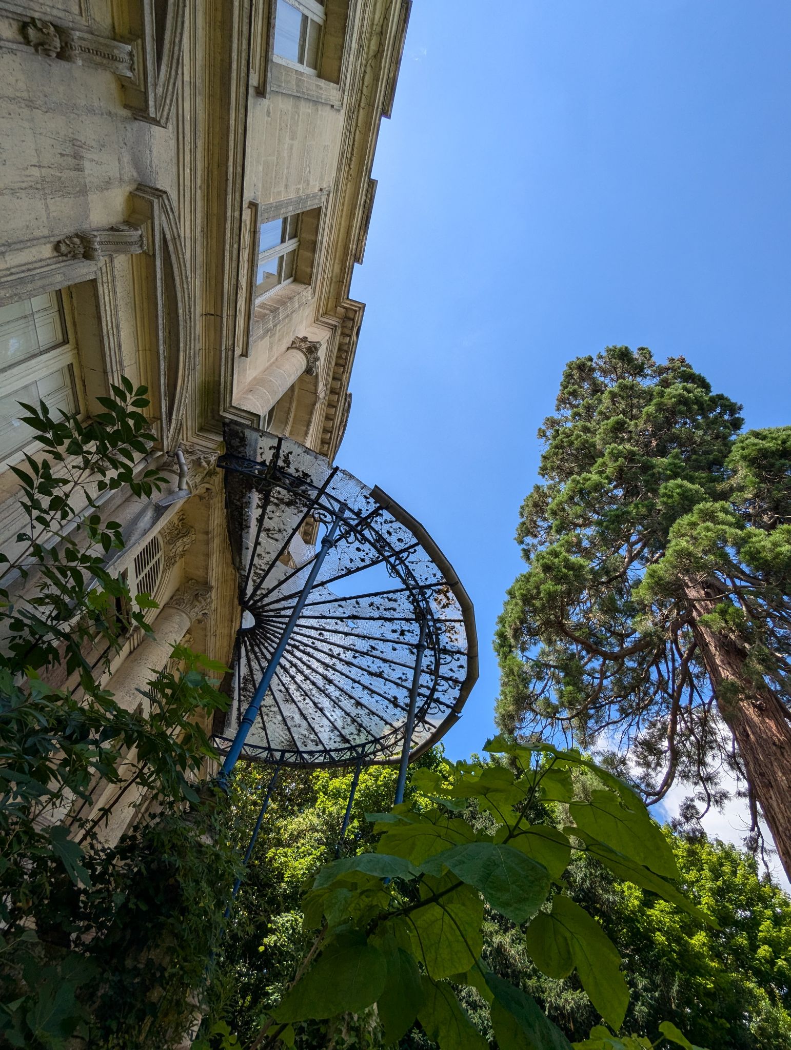 PXL 20240630 131610214