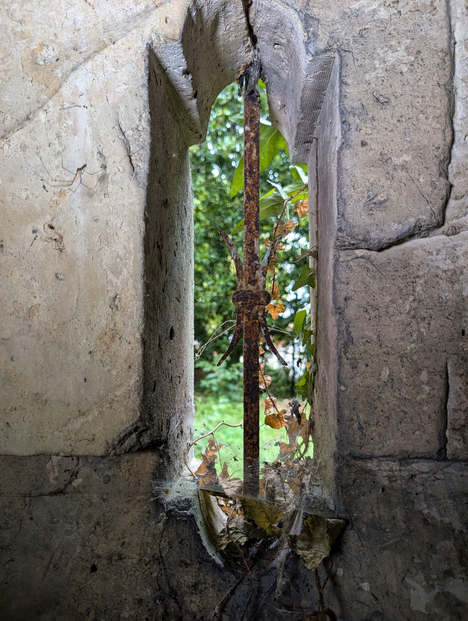 PXL 20250928 114510408